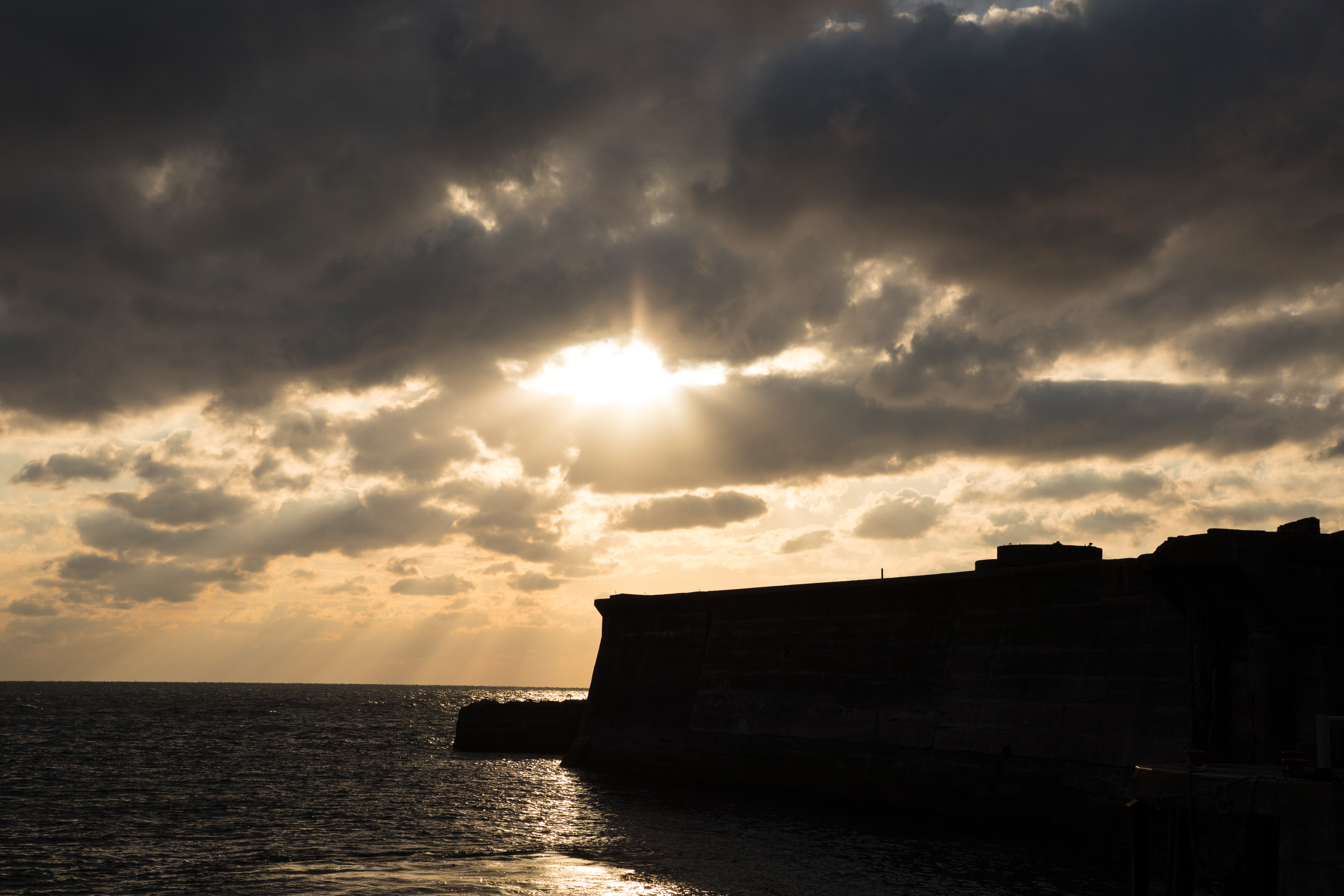 EOS 5D Mark IV / 1/4,000秒 / F8 / 0EV / ISO400 / 絞り優先AE / 60mm