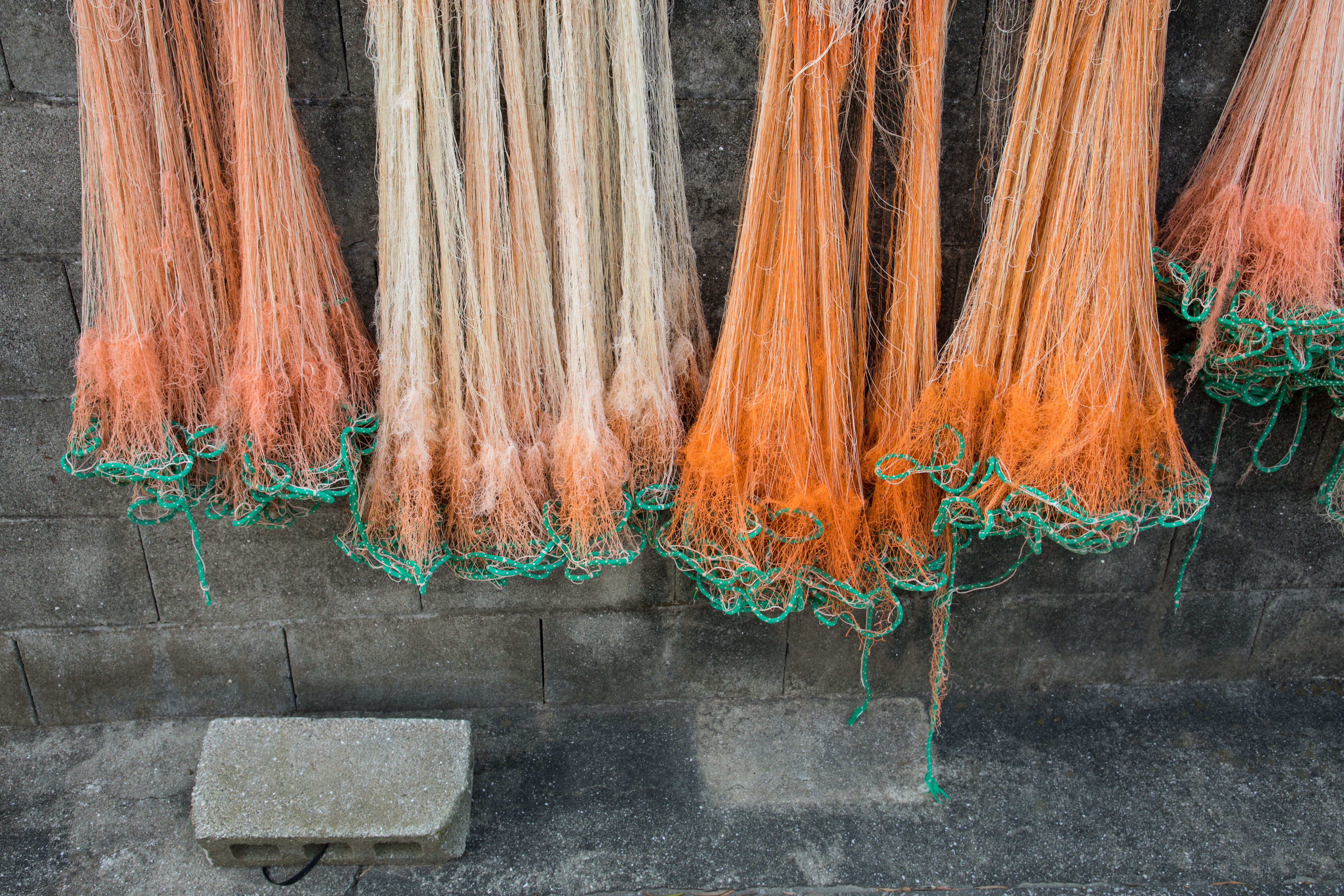 EOS 5D Mark IV / 1/60秒 / F8 / 0EV / ISO100 / 絞り優先AE / 35mm