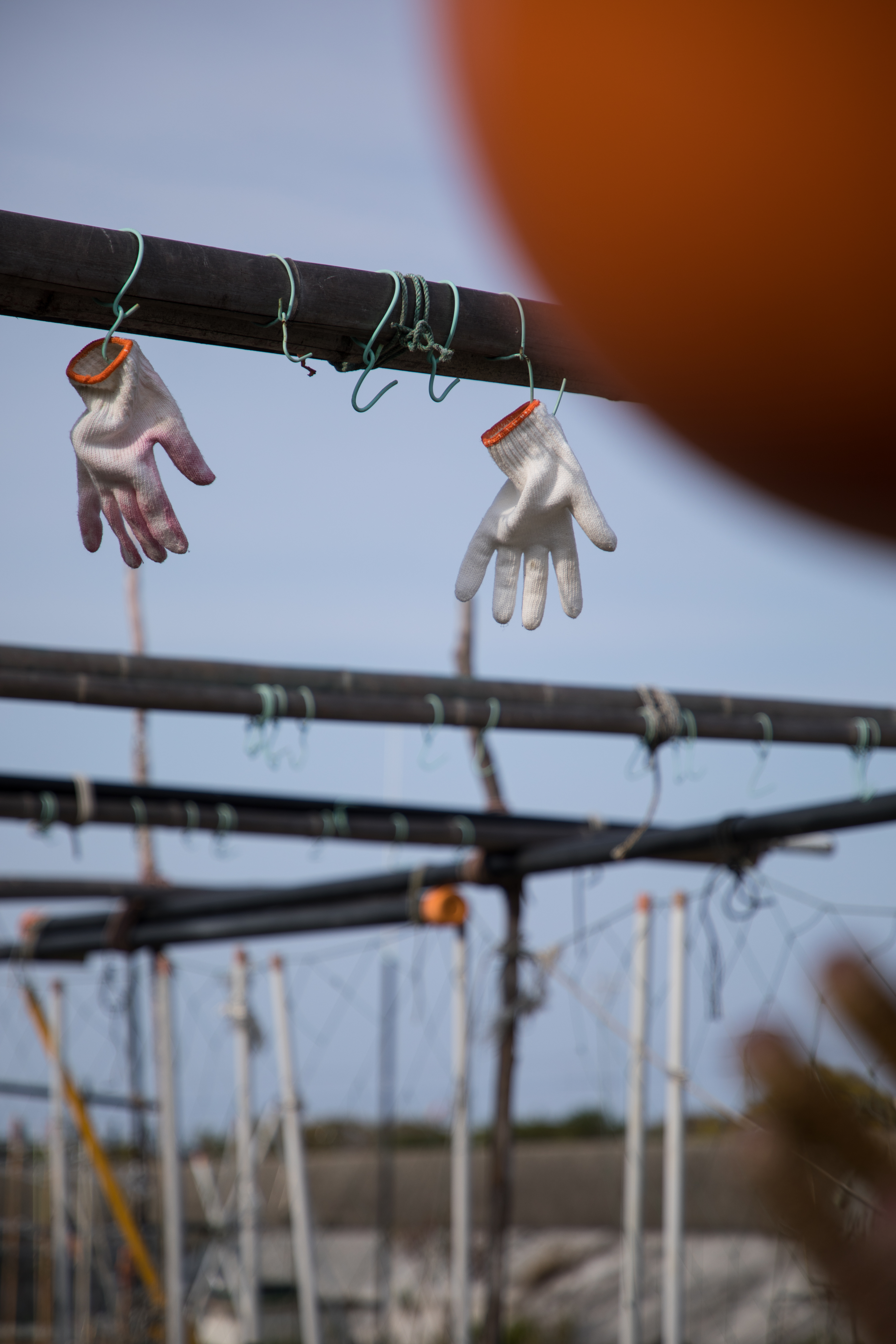 EOS 5D Mark IV / 1/1,000秒 / F4 / +0.7EV / ISO100 / 絞り優先AE / 105mm