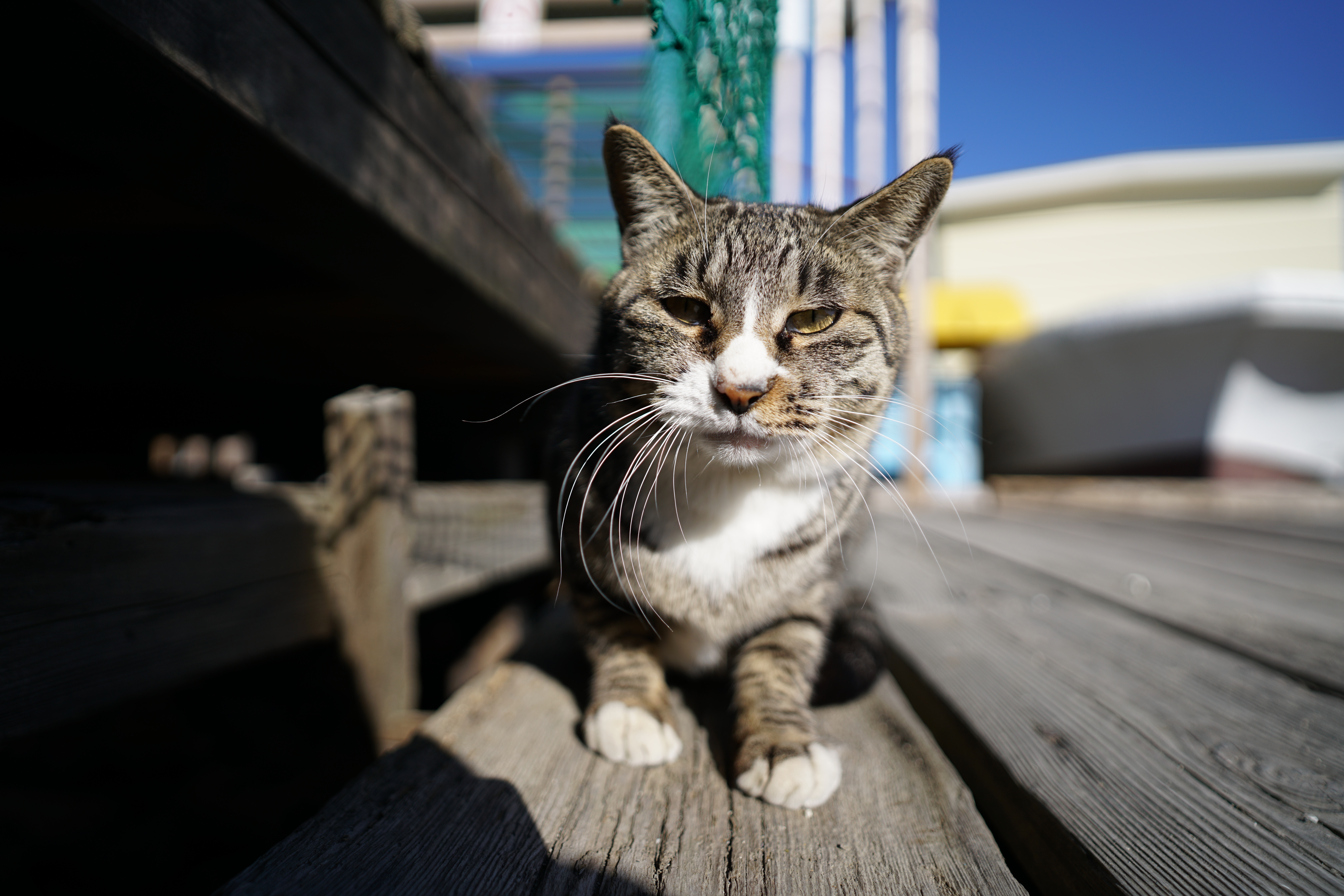 α7R II / 1/3,200秒 / F2 / -0.5EV / ISO100 / 絞り優先AE / 20mm