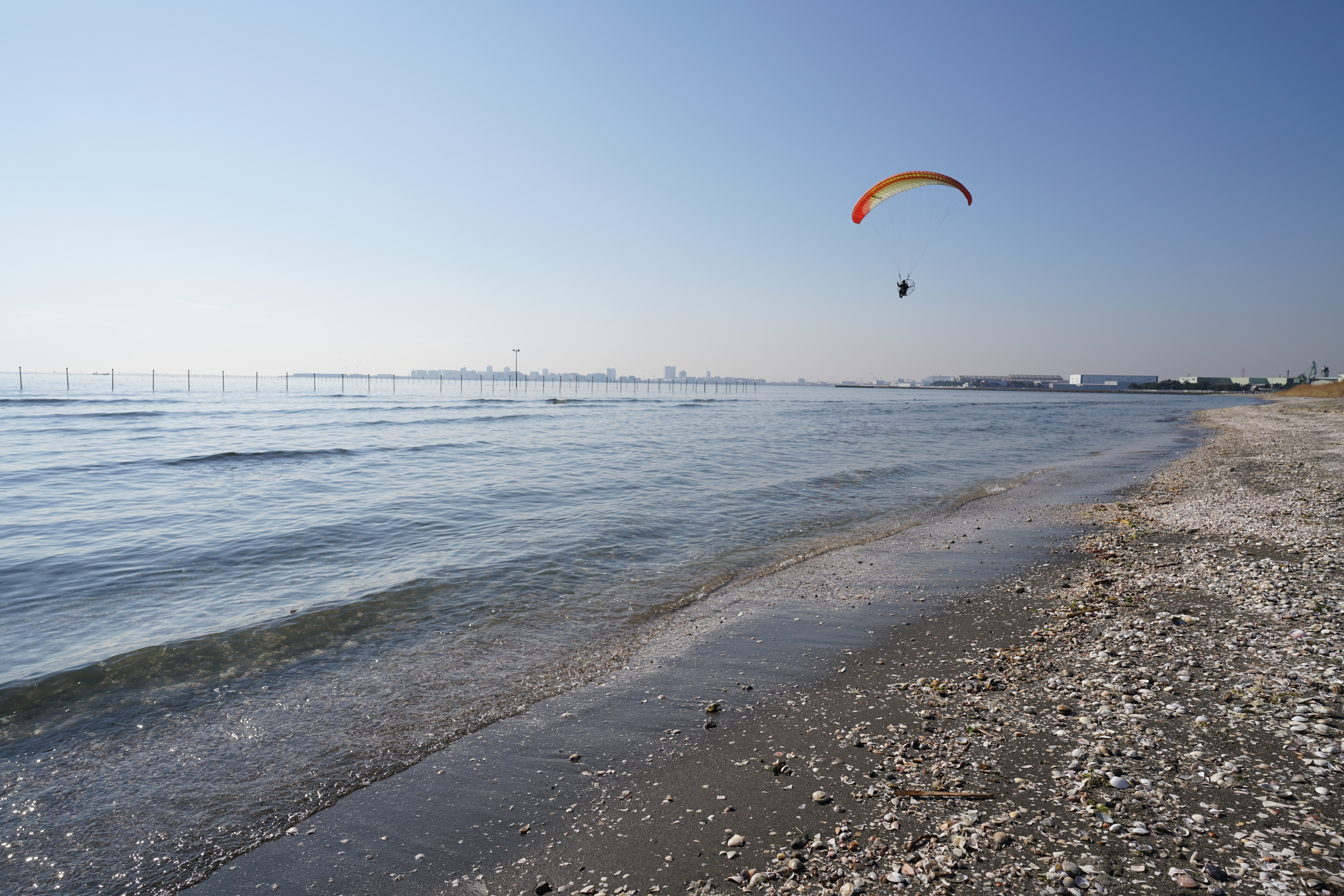 α7R II / 1/500秒 / F8 / +0.3EV / ISO100 / 絞り優先AE / 20mm