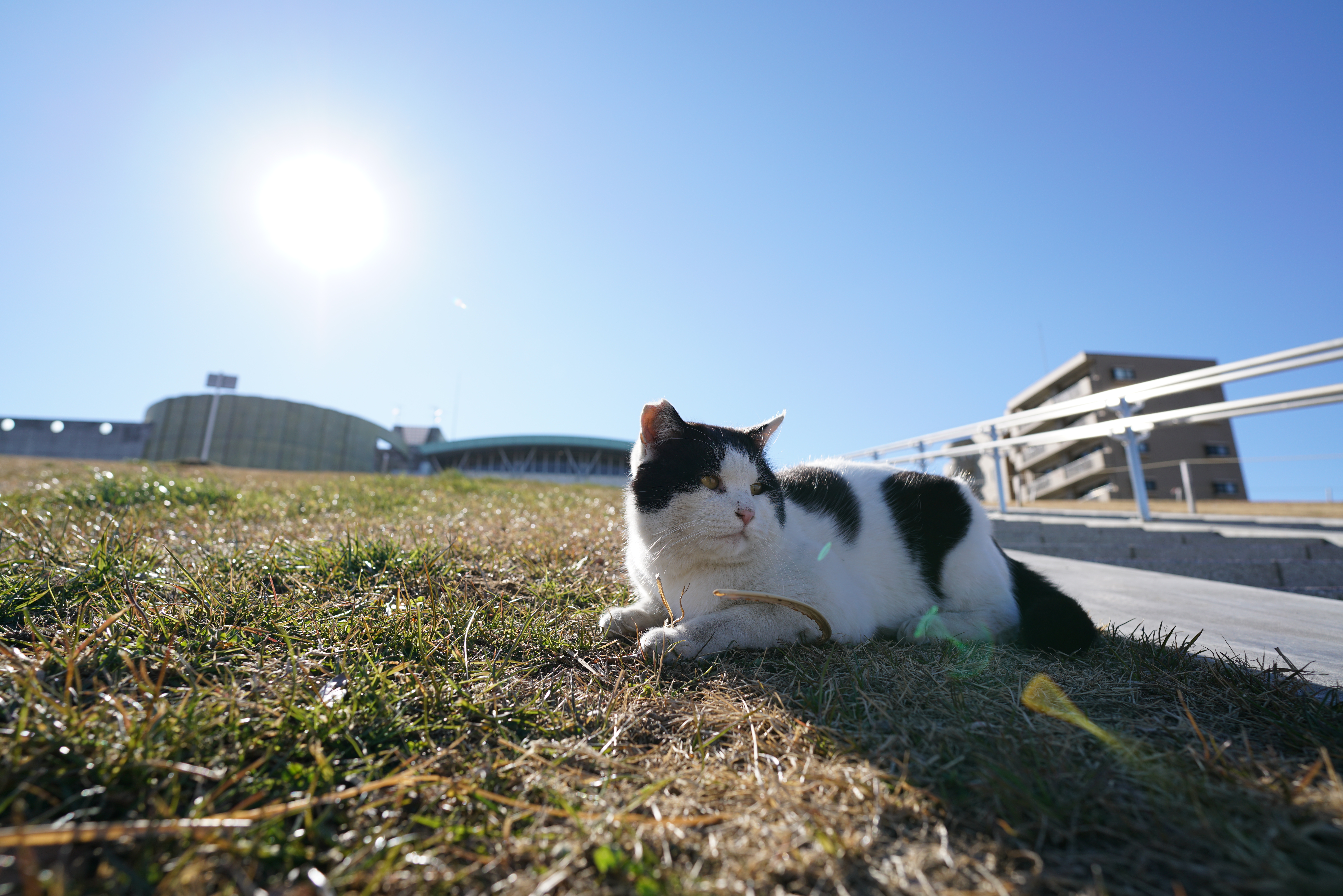 α7R II / 1/640秒 / F5.6 / +0.5EV / ISO100 / 絞り優先AE / 20mm