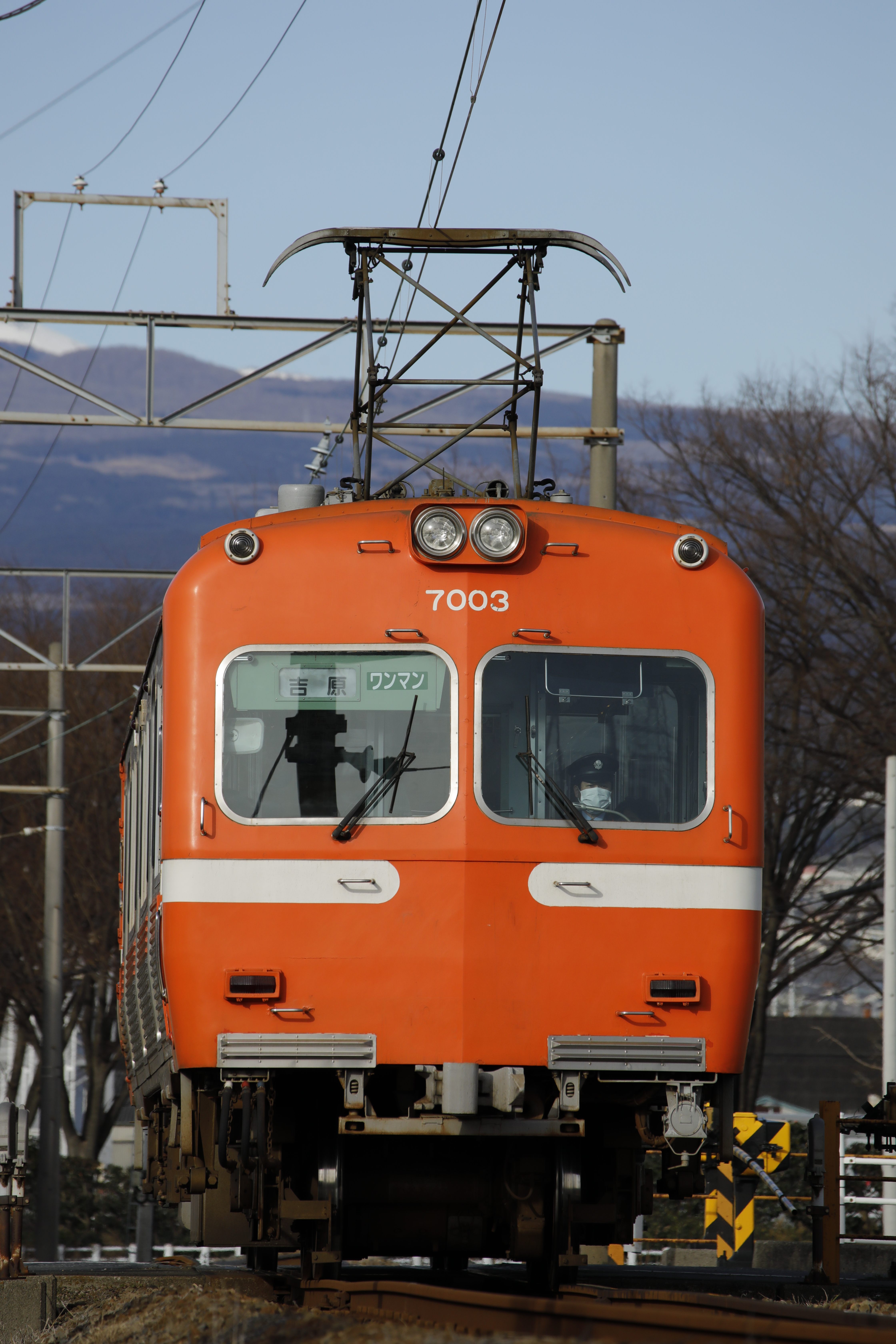 EOS 5D Mark IV / 1/1,000秒 / F9 / -0.3EV / ISO400 / シャッター優先AE / 300mm