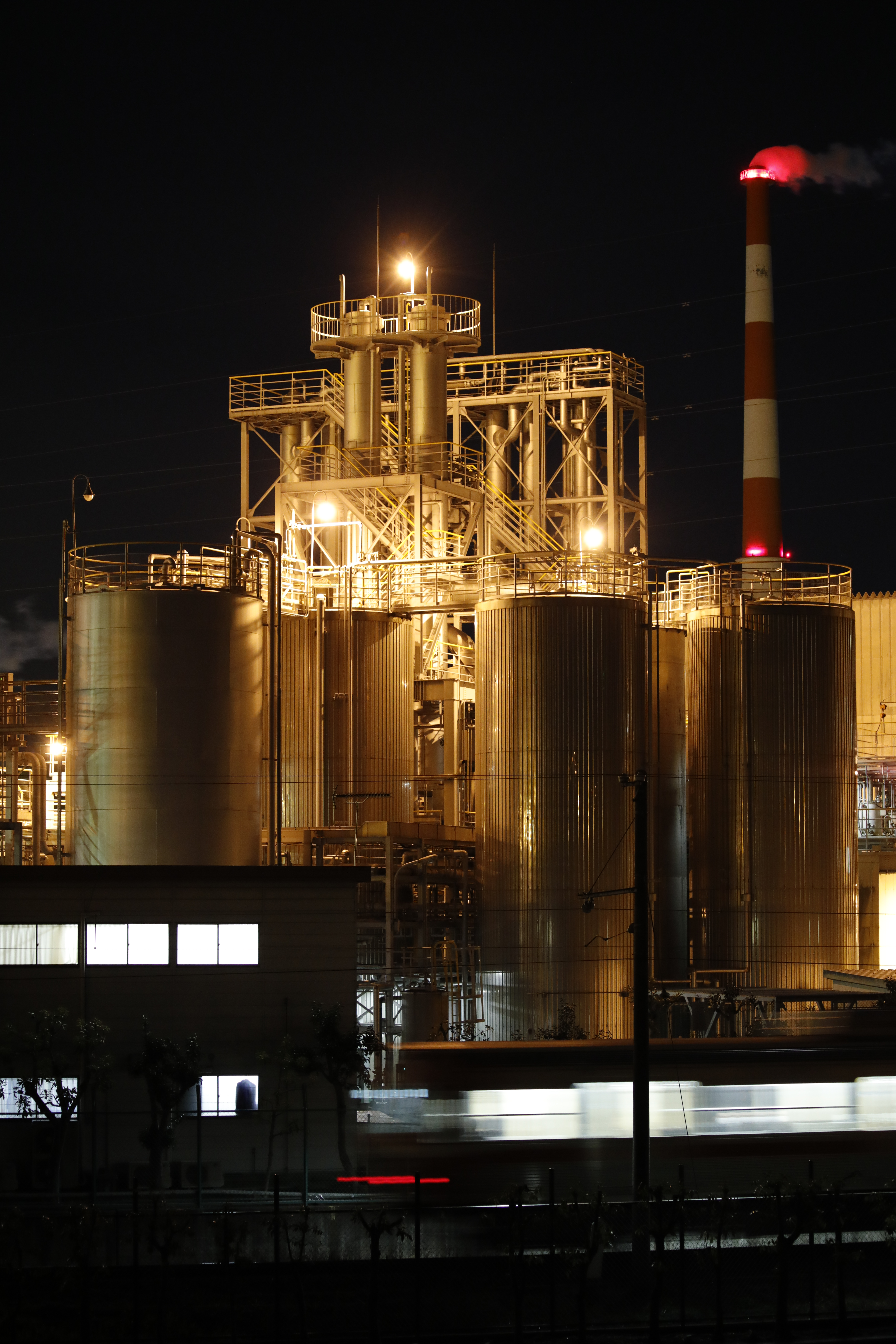 EOS 5D Mark IV / 1/8秒 / F4.5 / 0EV / ISO3200 / マニュアル露出 / 83mm