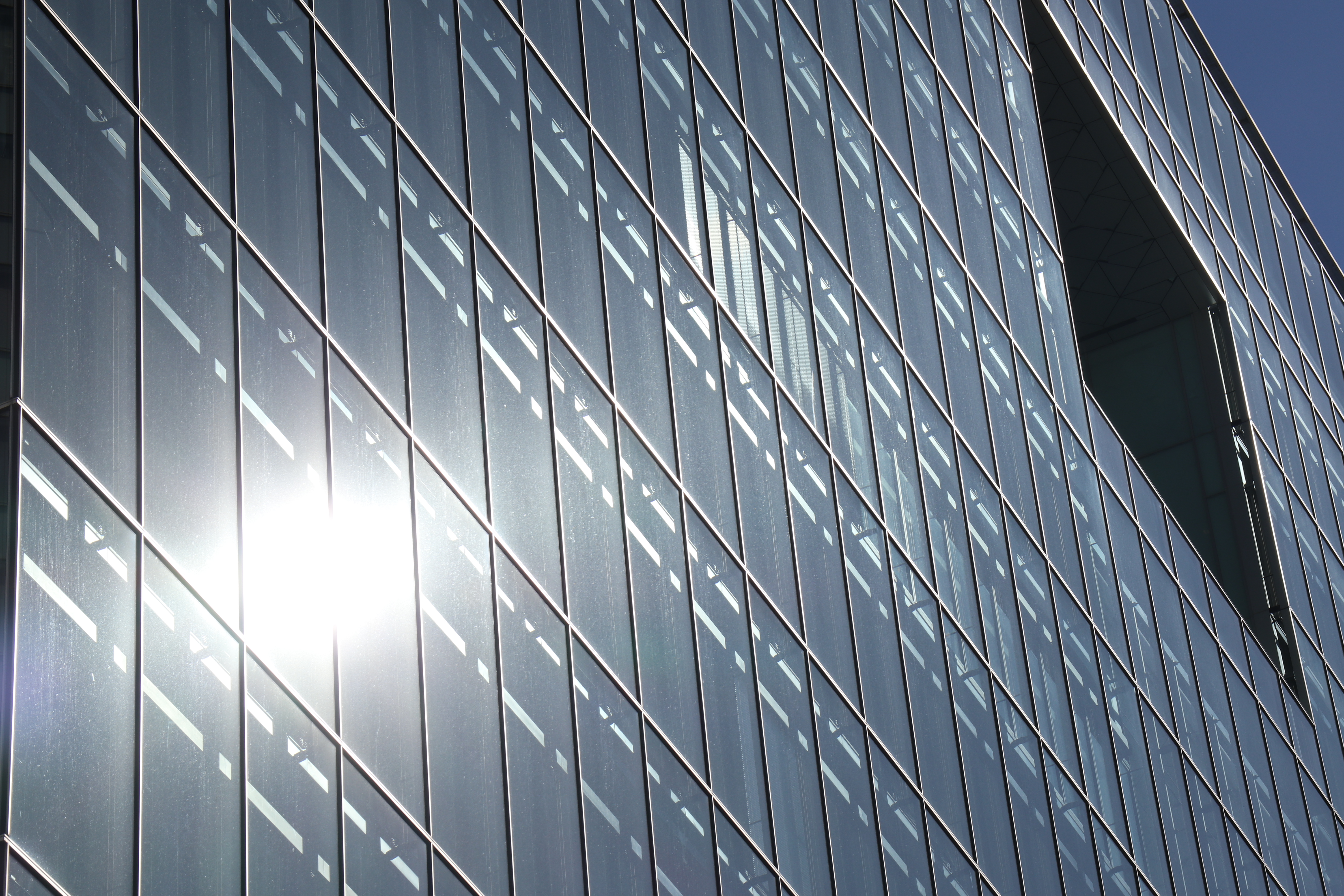 EF-M18-150mm F3.5-6.3 IS STM / 1/640秒 / F11 / +0.7EV / ISO100 / 絞り優先AE / 81mm