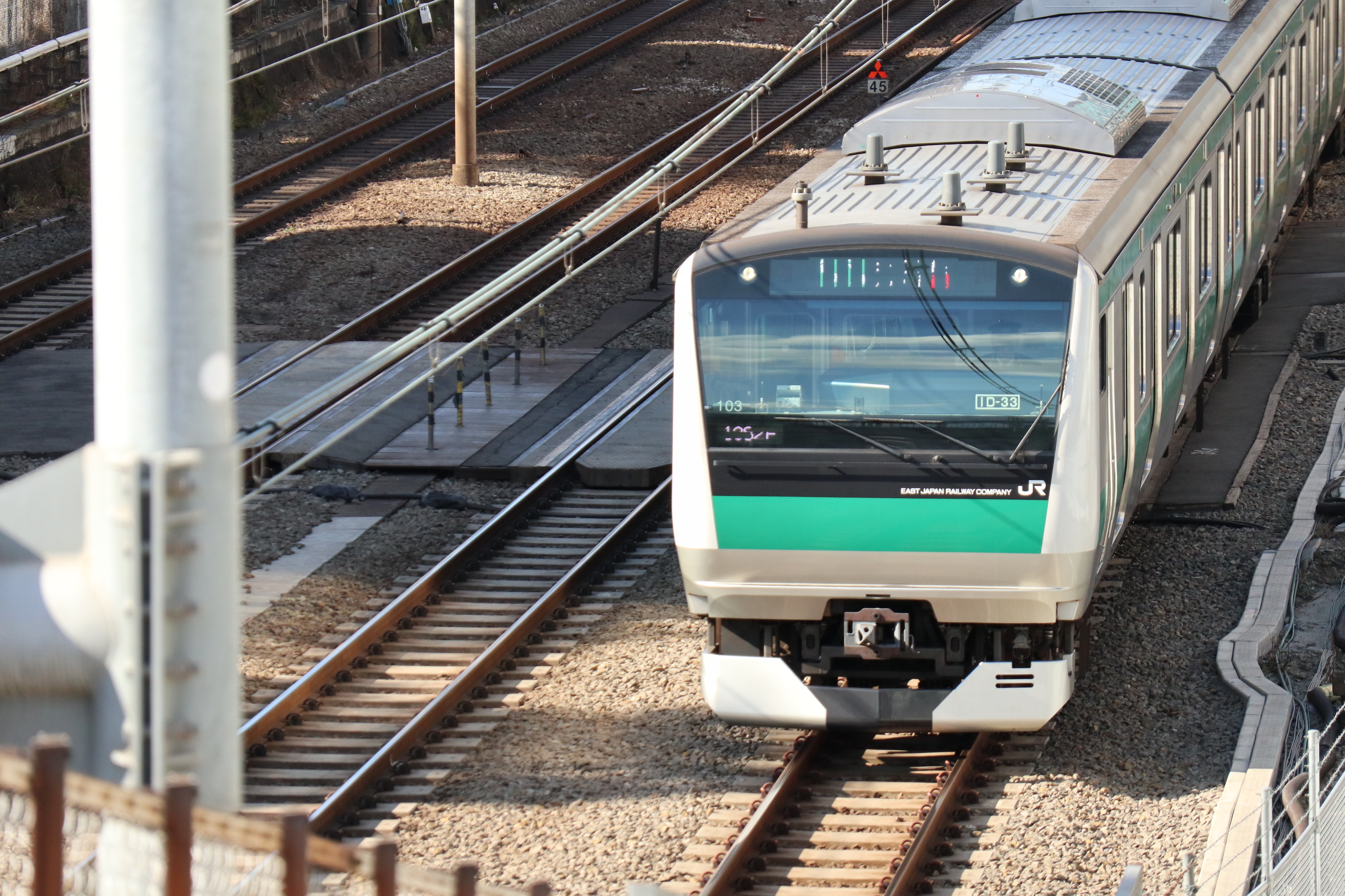 連写した中の1枚。EF-M18-150mm F3.5-6.3 IS STM / 1/1,000秒 / F6.3 / +0.3EV / ISO640 / シャッター優先AE / 135mm