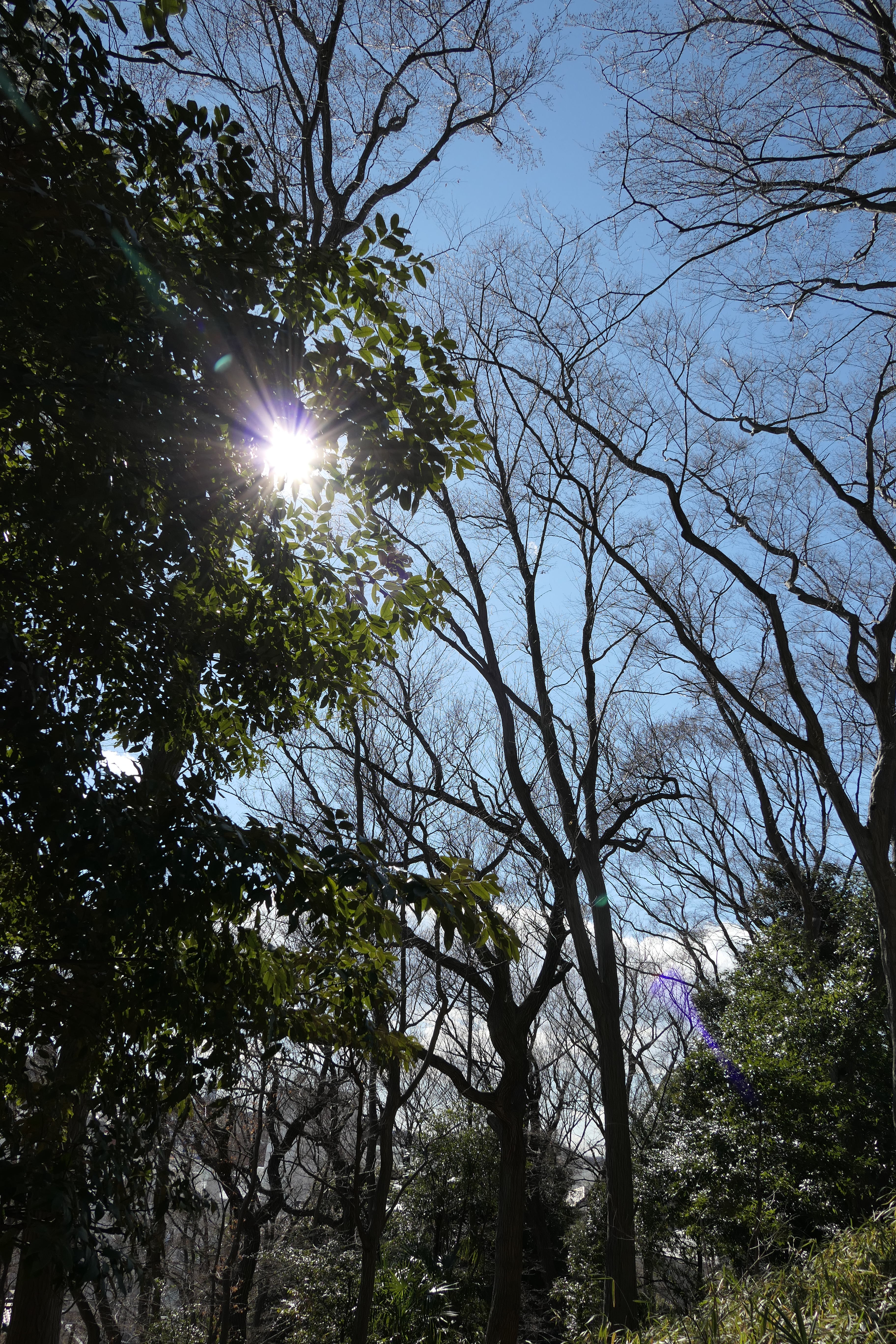 1/1,000秒 / F4 / 0EV / ISO125 / 絞り優先AE / 8.8mm