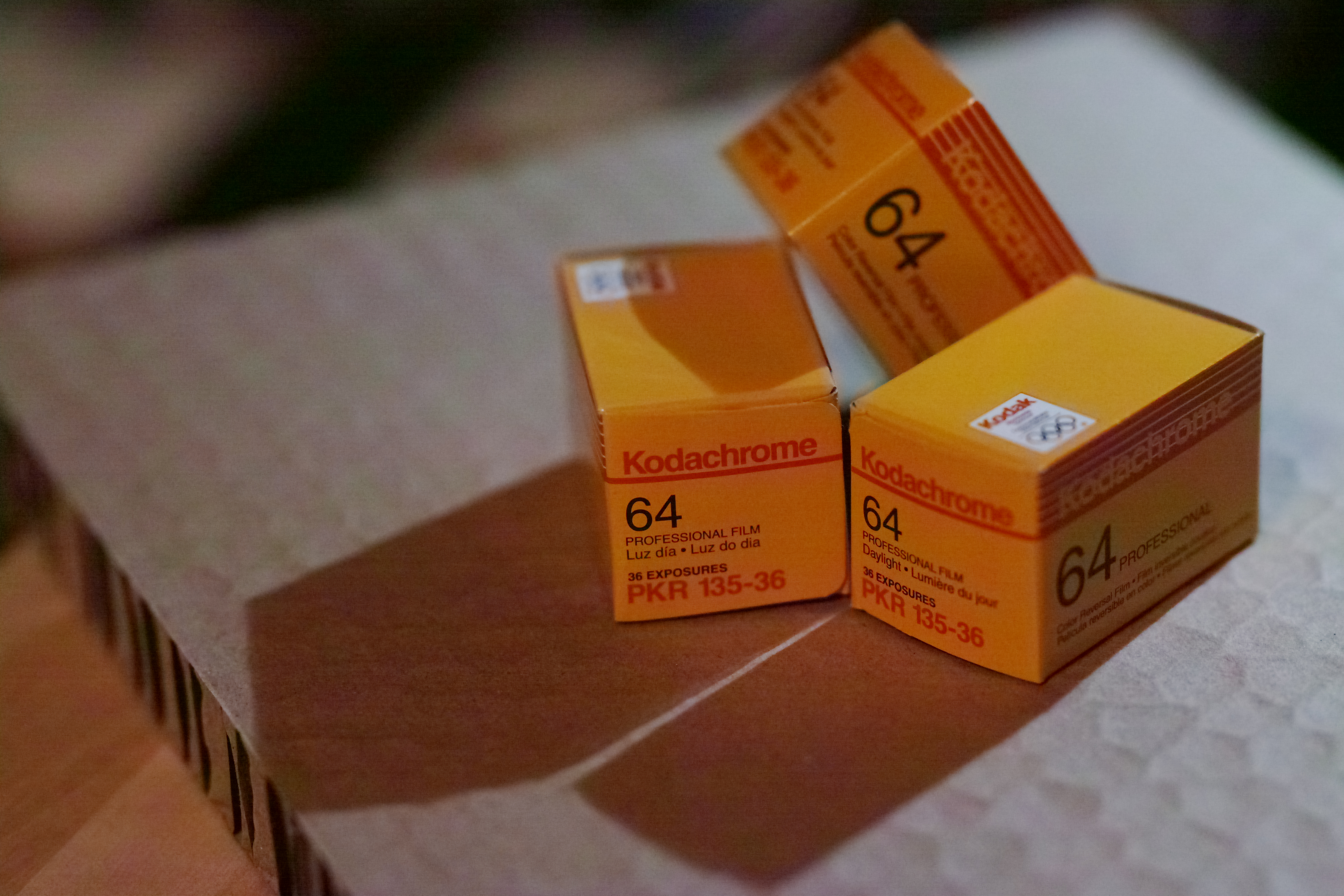 SIGMA 85mm F1.4 DG HSM / 1/500秒 / F2 / 0EV / ISO1600 / 絞り優先AE / 85mm