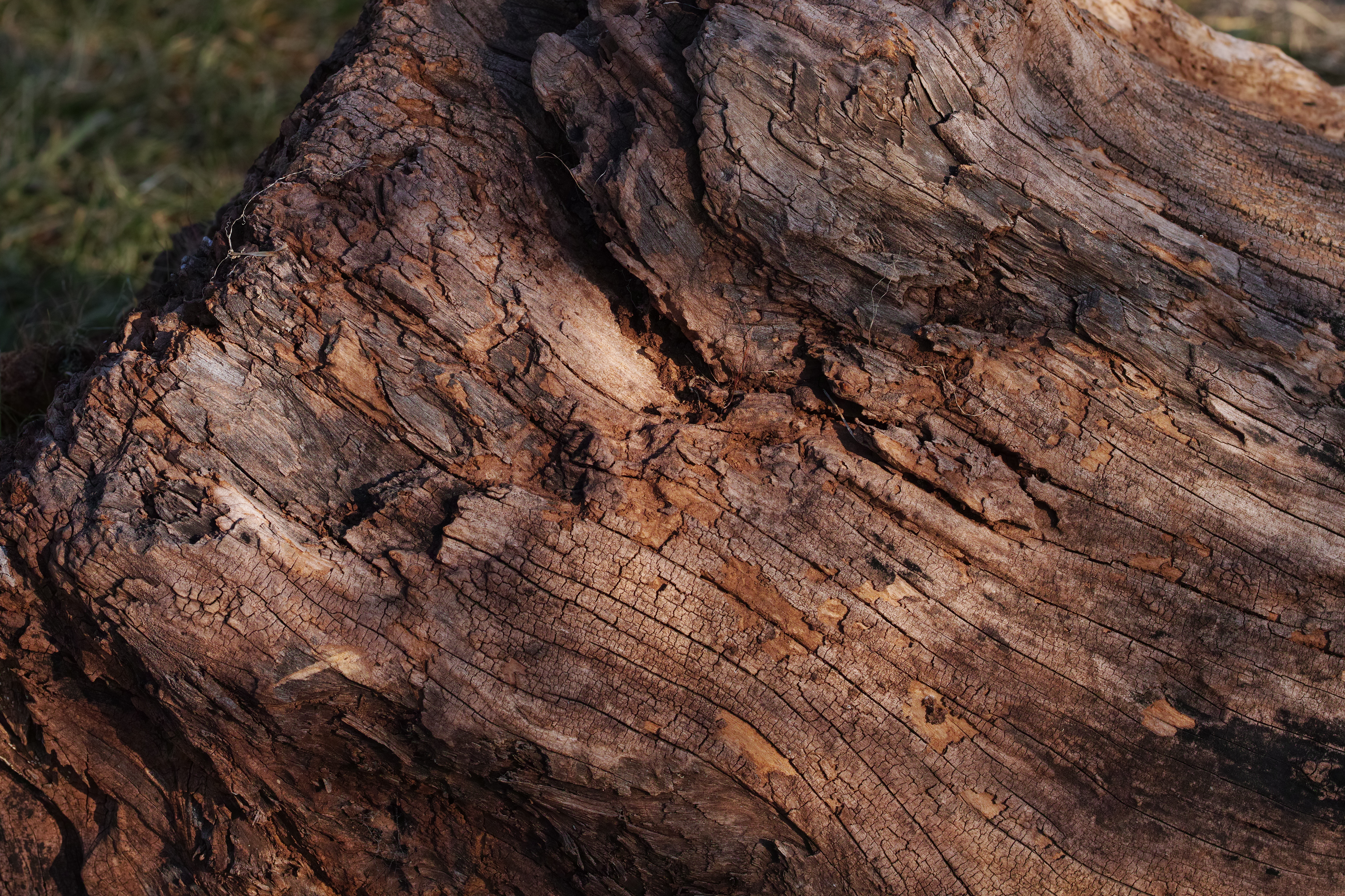 SIGMA 85mm F1.4 DG HSM / 1/250秒 / F6.3 / -0.7EV / ISO100 / 絞り優先AE / 85mm