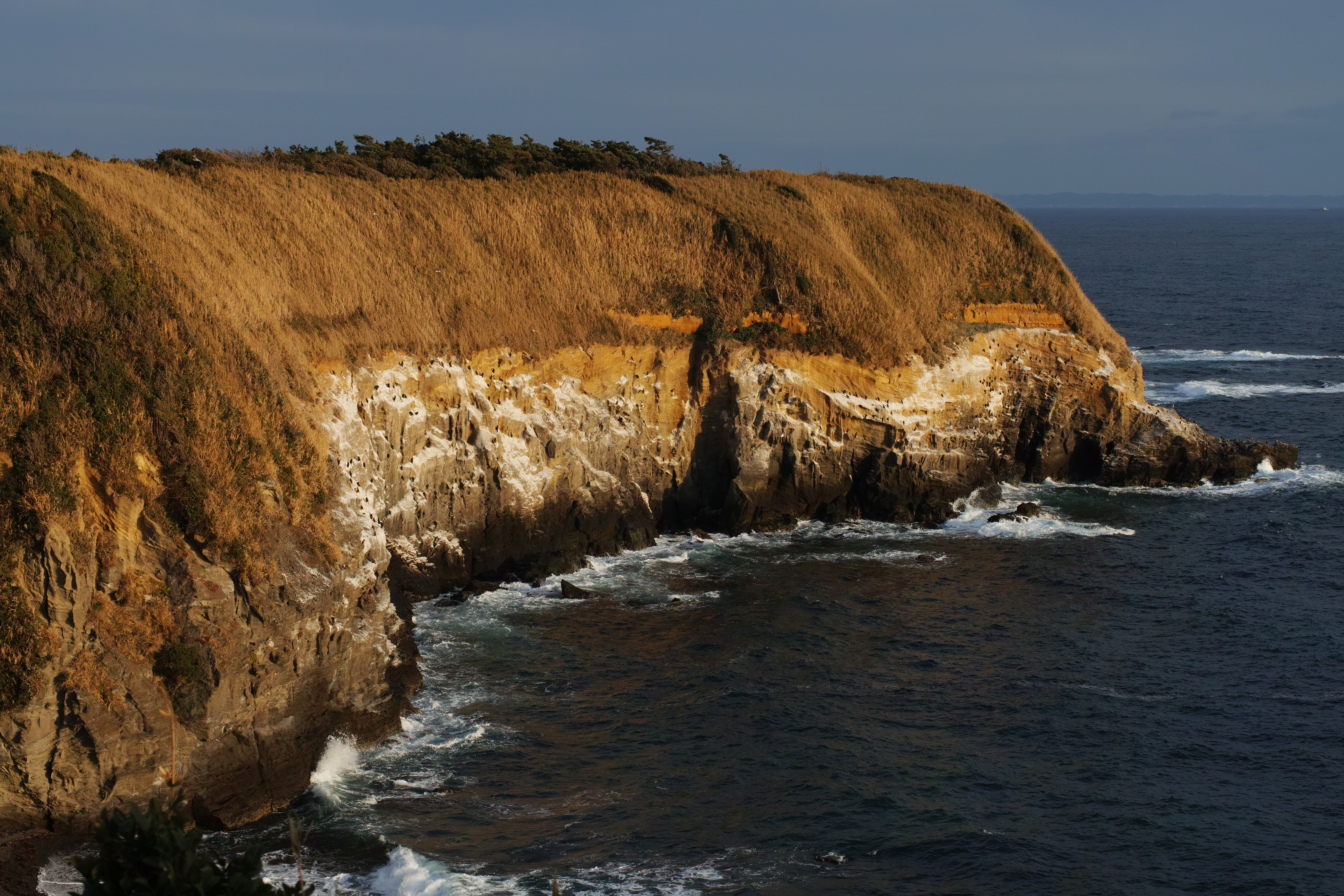 SIGMA 50mm F1.4 DG HSM / 1/250秒 / F8 / -0.7EV / ISO100 / 絞り優先AE / 50mm