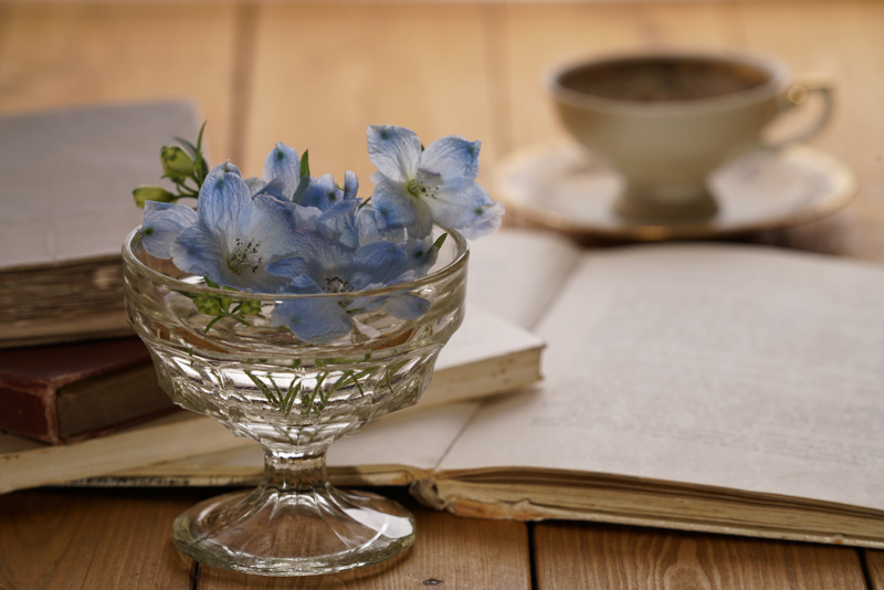 α7 R II / FE 70-200mm F2.8 GM OSS / F8 / 1/125秒 / ISO200 / 200mm / B2 250 AirTTL（2灯） + Air Remote TTL-S