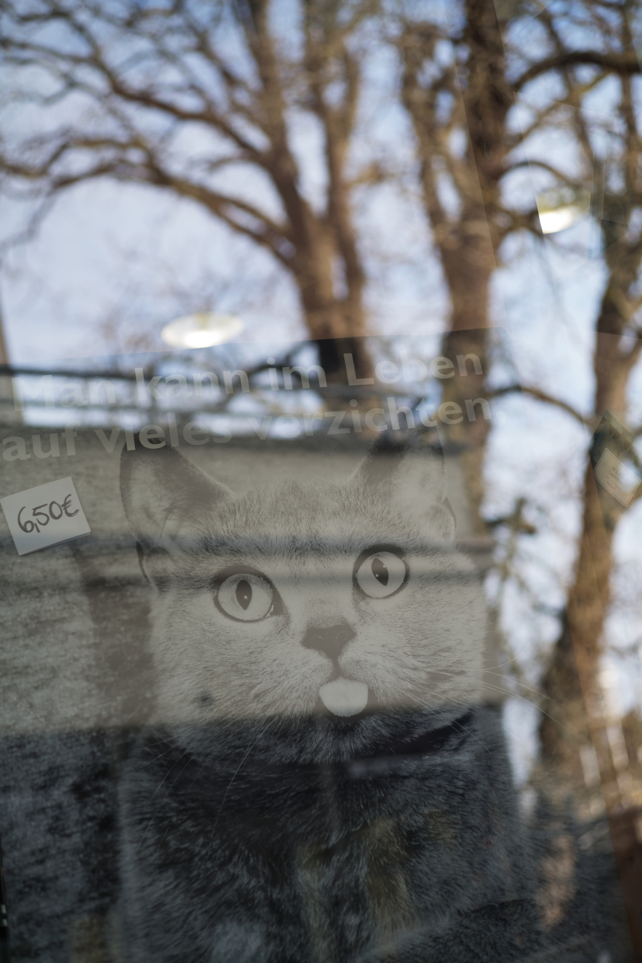 ボケ味はAPO-SUMMICRON-M F2/50mm ASPH.の方がより自然でクセがないが、それは同一被写体を撮り比べて分かること。単独で見る限りSUMMICRON 50mmのボケ味もなかなかいい。LEICA M10 / ISO100 / F5.6 / 1/90秒 / WB:オート