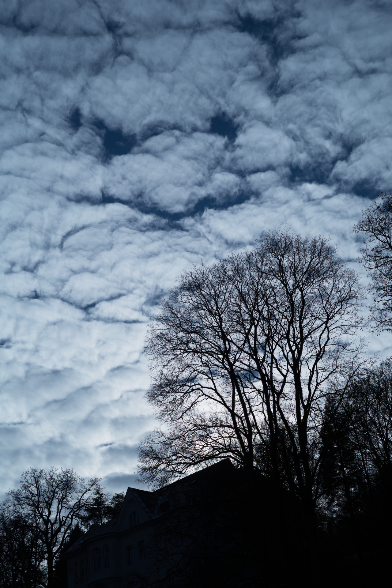 F5.6で撮影。こういう被写体を撮ると画面周辺でも解像は驚くほど高いことが分かる。LEICA M10 / ISO100 / F5.6 / 1/2,000秒 / WB:オート