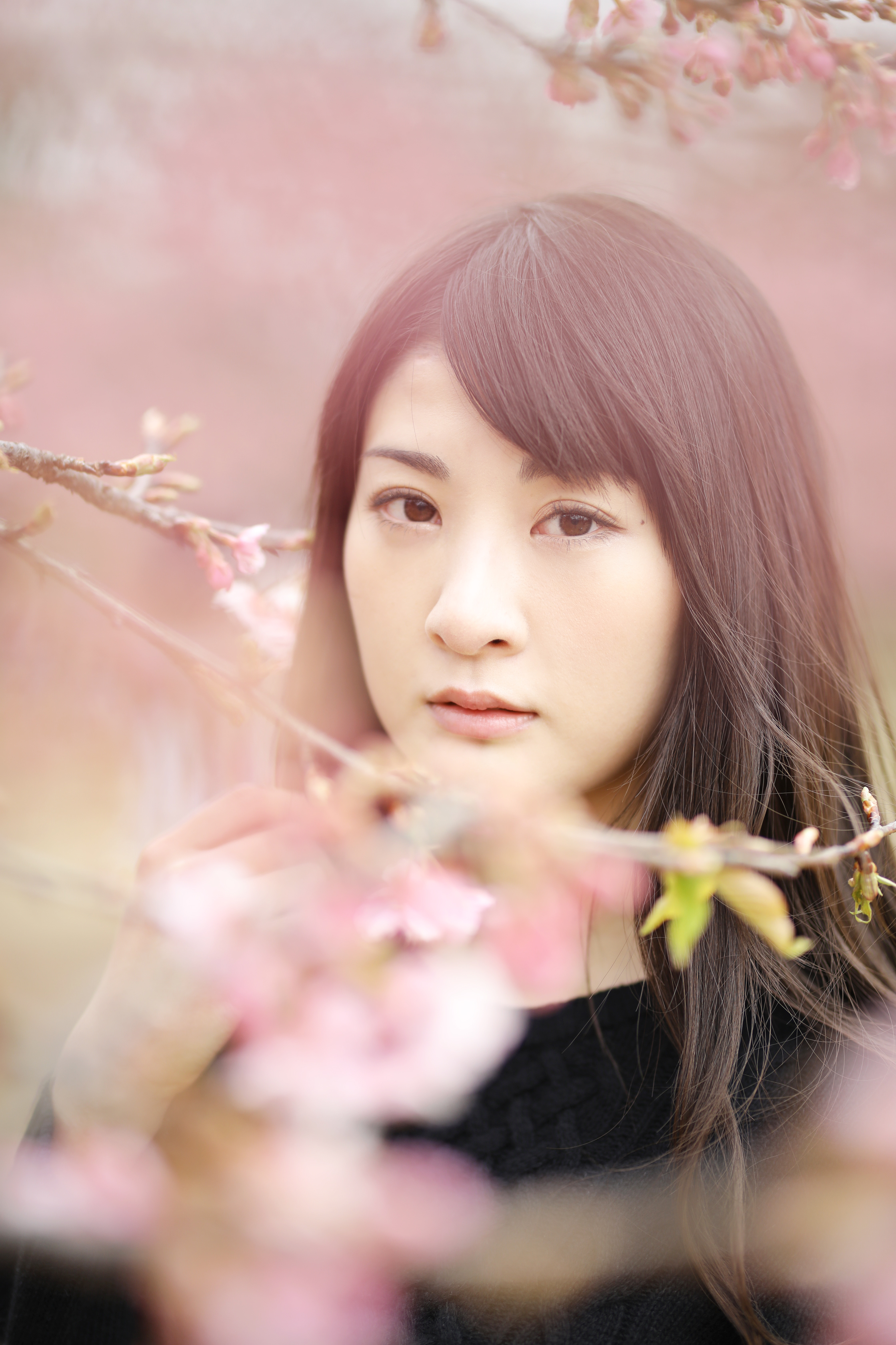 EOS 5D Mark IV / 1/500秒 / F1.4 / 0EV / ISO200 / マニュアル露出