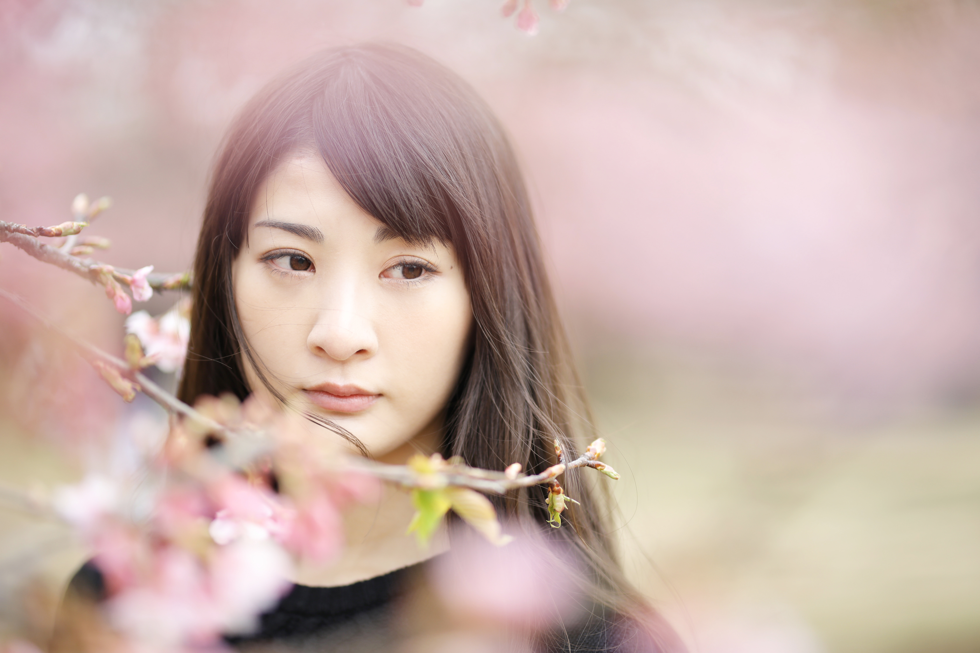 EOS 5D Mark IV / 1/500秒 / F1.4 / 0EV / ISO200 / マニュアル露出