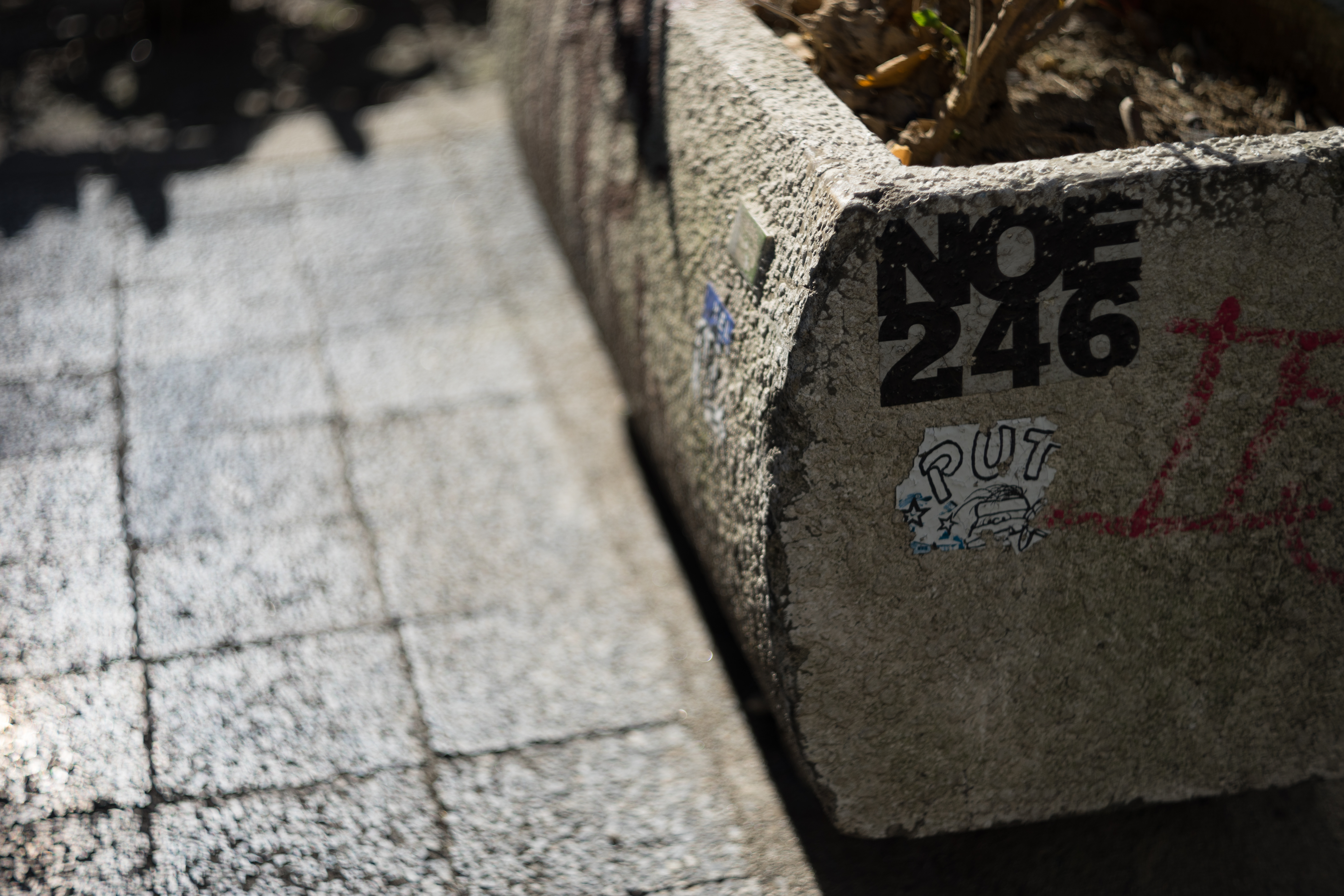 α7 II / Takumar 58mm F2.4 / 1/1,250秒 / F2.8 / ±0EV / ISO100 / AWB