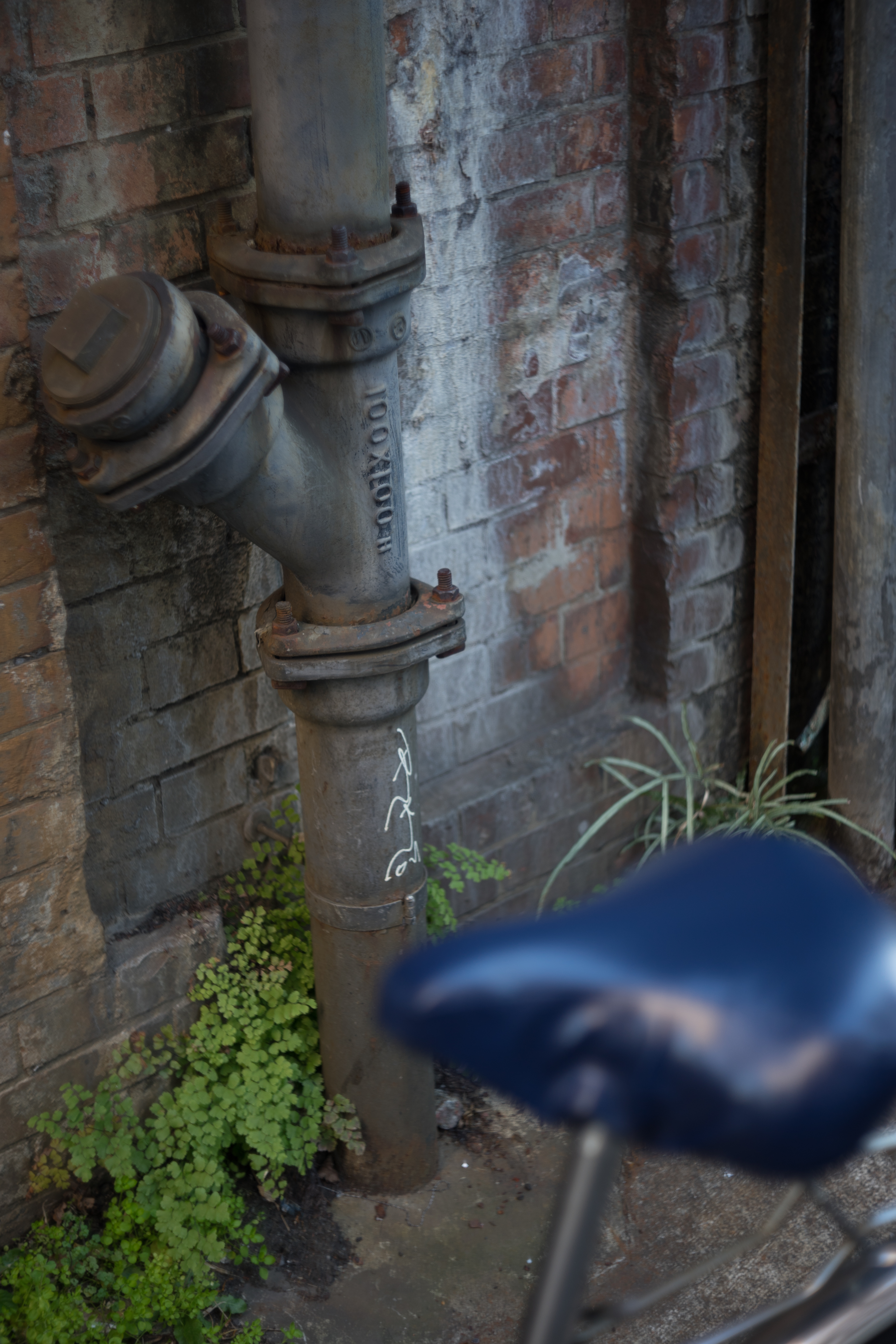 α7 II / Takumar 58mm F2.4 / 1/60秒 / F2.4 / -0.7EV / ISO100 / AWB