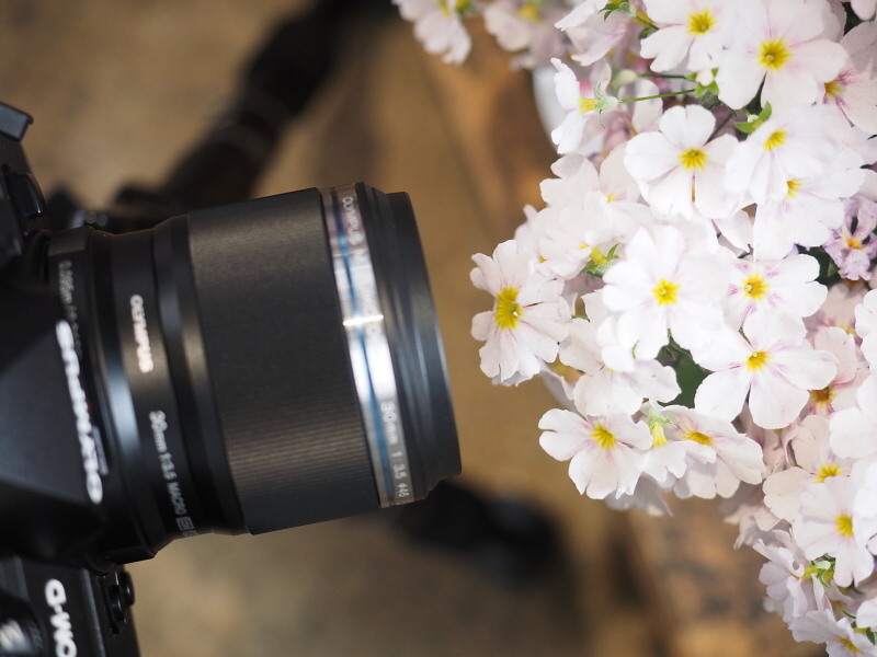 最大撮影倍率（最短撮影距離）で撮影したときの状況