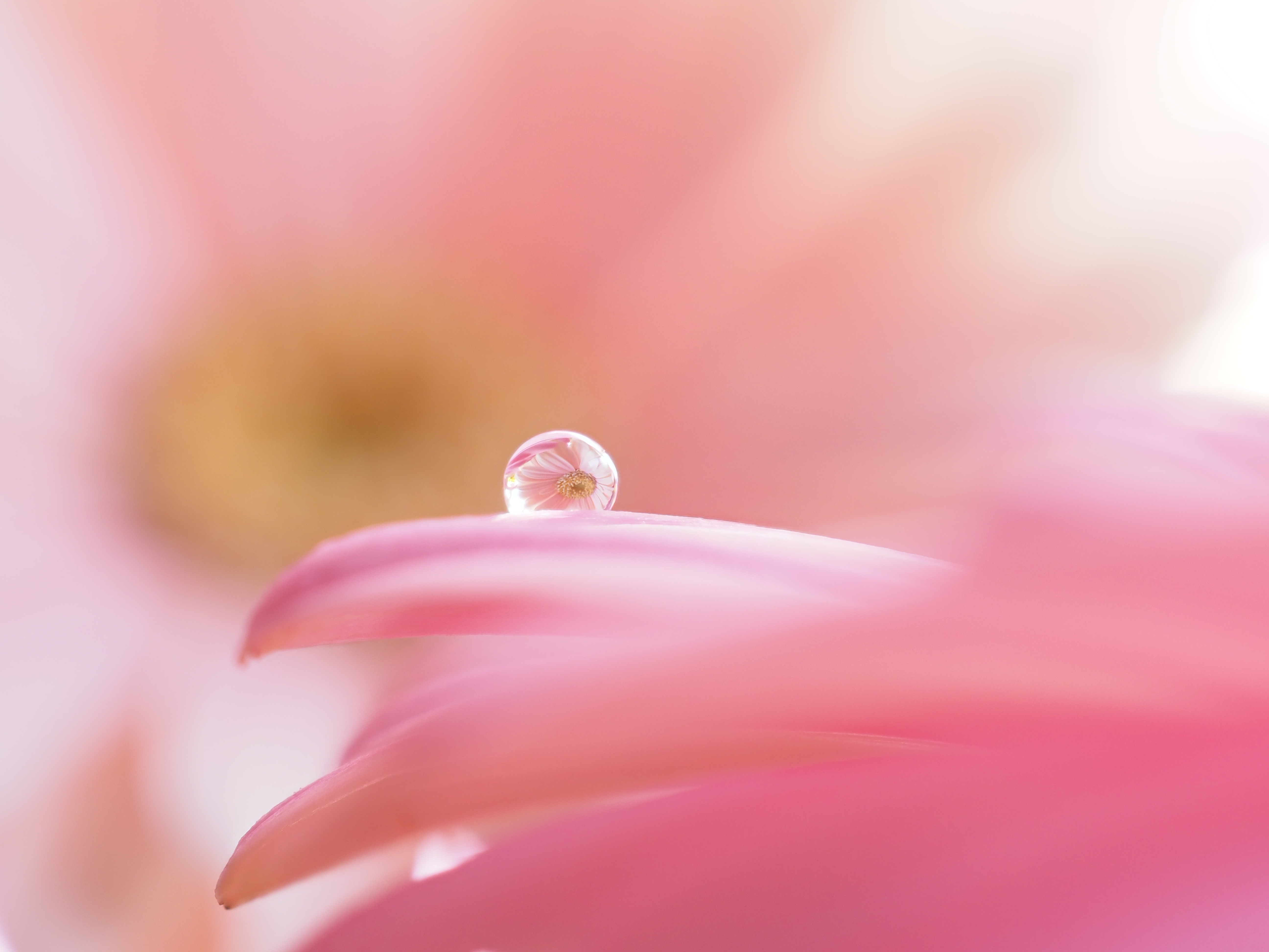 OLYMPUS OM-D E-M1 Mark II / 1/30秒 / F4.5 / +1.3EV / ISO200 / 絞り優先AE / 30mm