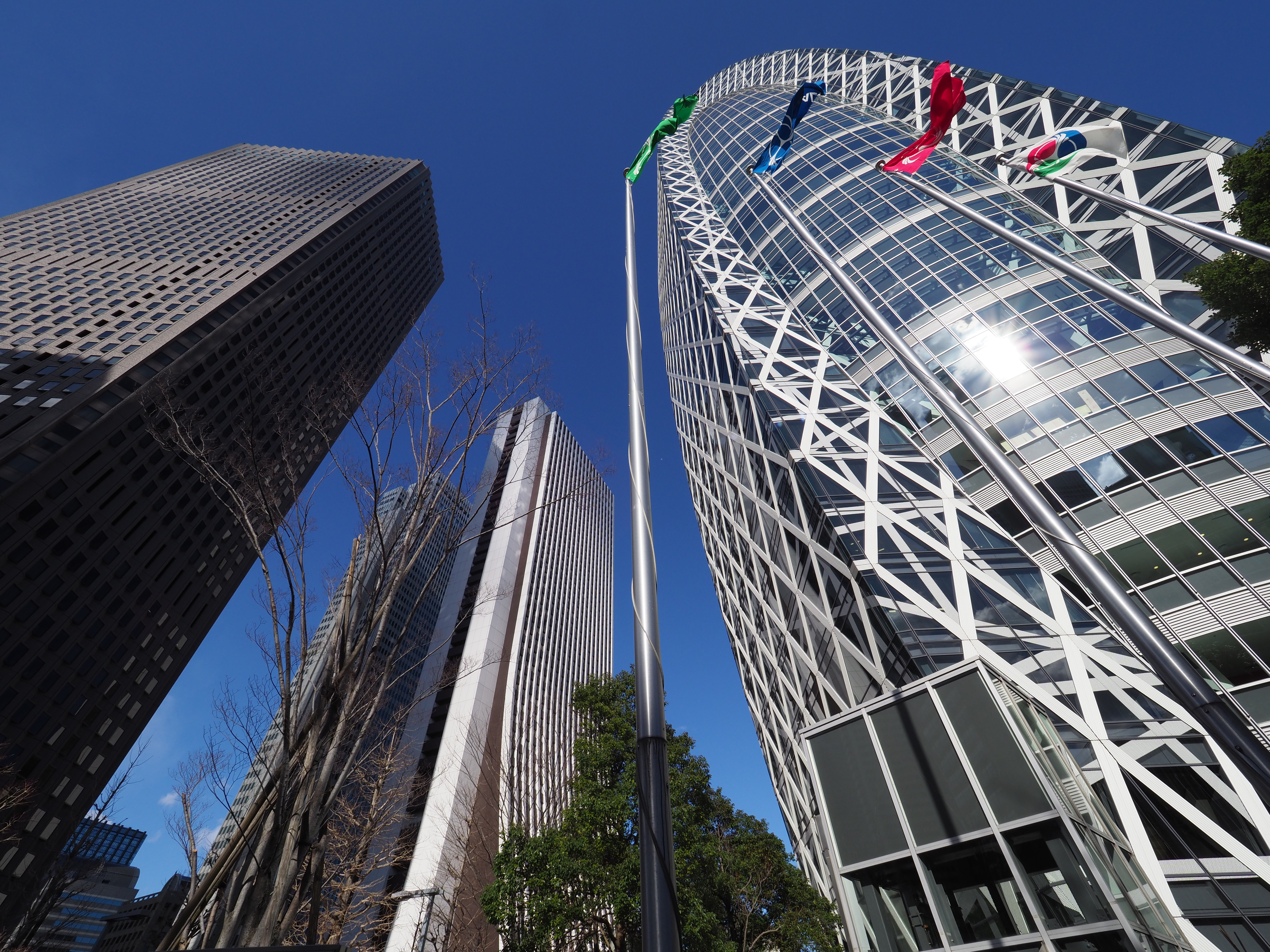 E-M1 Mark II / M.ZUIKO DIGITAL ED 7-14mm F2.8 PRO（7mm） / 絞り優先オート（F8・1/500秒） / ±0EV / ISO200 / WB:オート