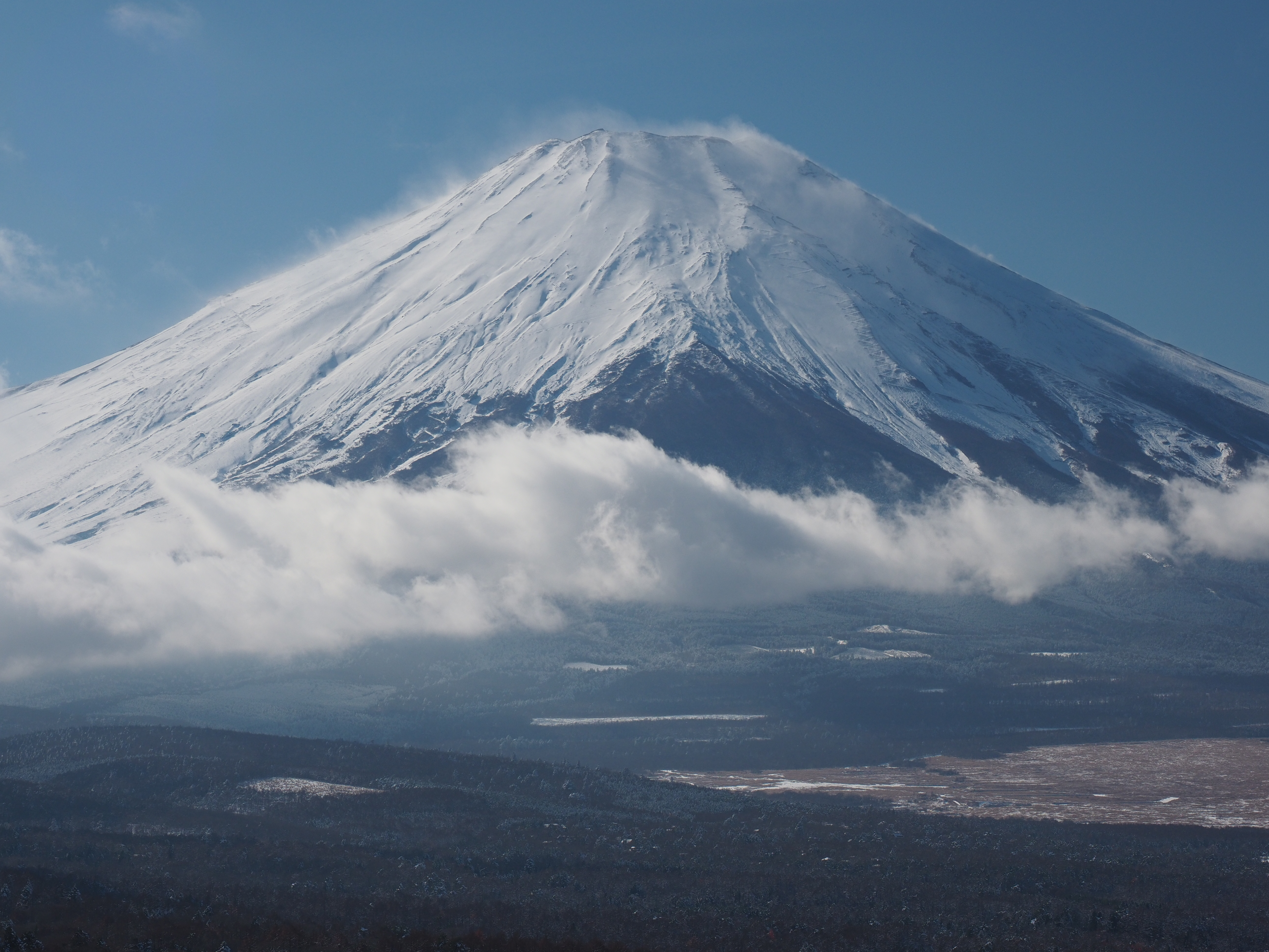 E-M1 Mark II / M.ZUIKO DIGITAL ED 12-100mm F4 IS PRO（61mm） / 絞り優先オート（F8・1/500秒） / ±0EV / ISO200 / WB:オート