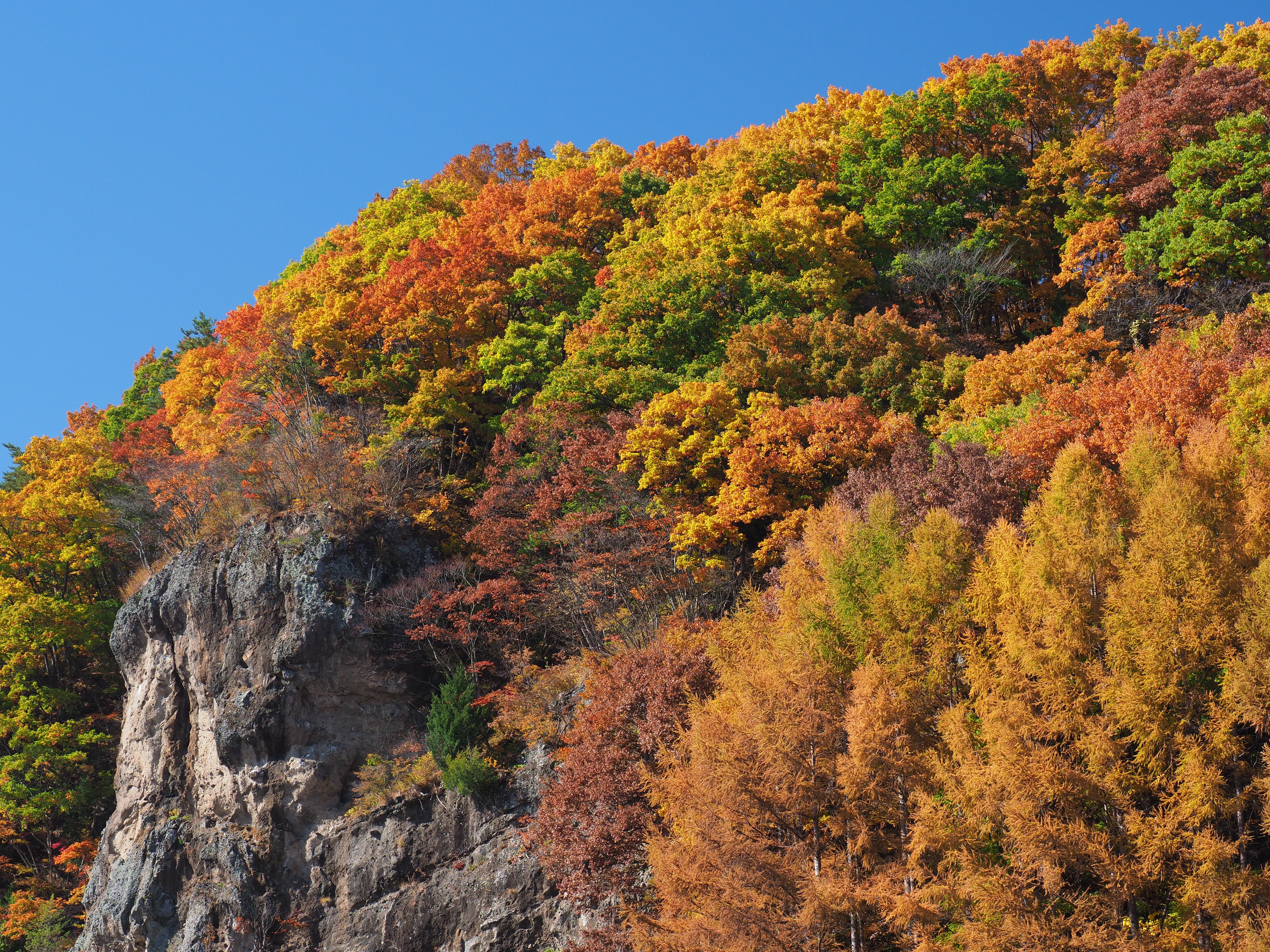 E-M1 Mark II / M.ZUIKO DIGITAL ED 12-100mm F4 IS PRO（35mm） / 絞り優先オート（F7.1・1/80秒） / -0.3EV/ ISO200 / WB:晴天