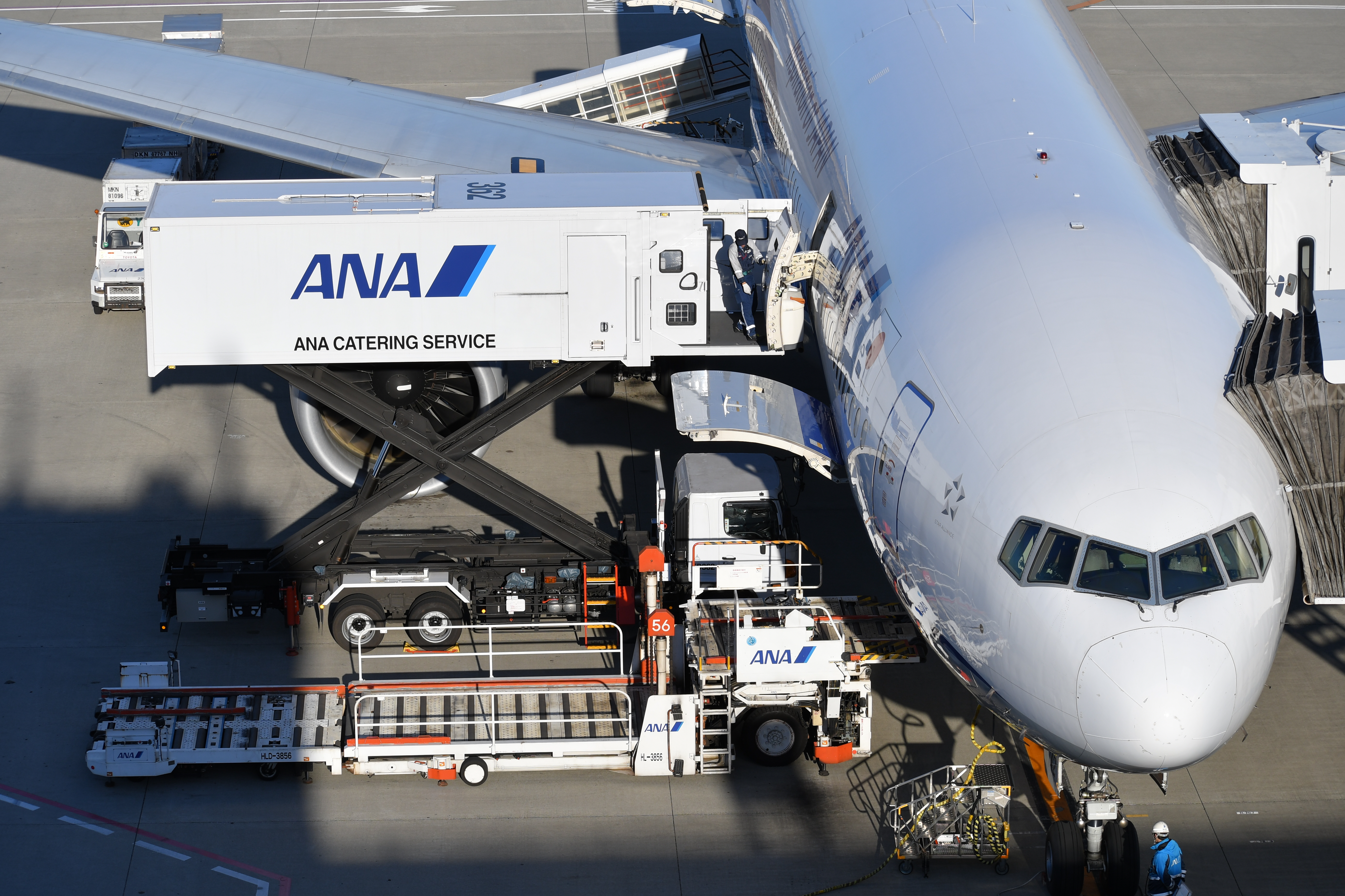 D500 / 1/800秒 / F5.6 / +0.3EV / ISO100 / シャッター優先AE / 70mm