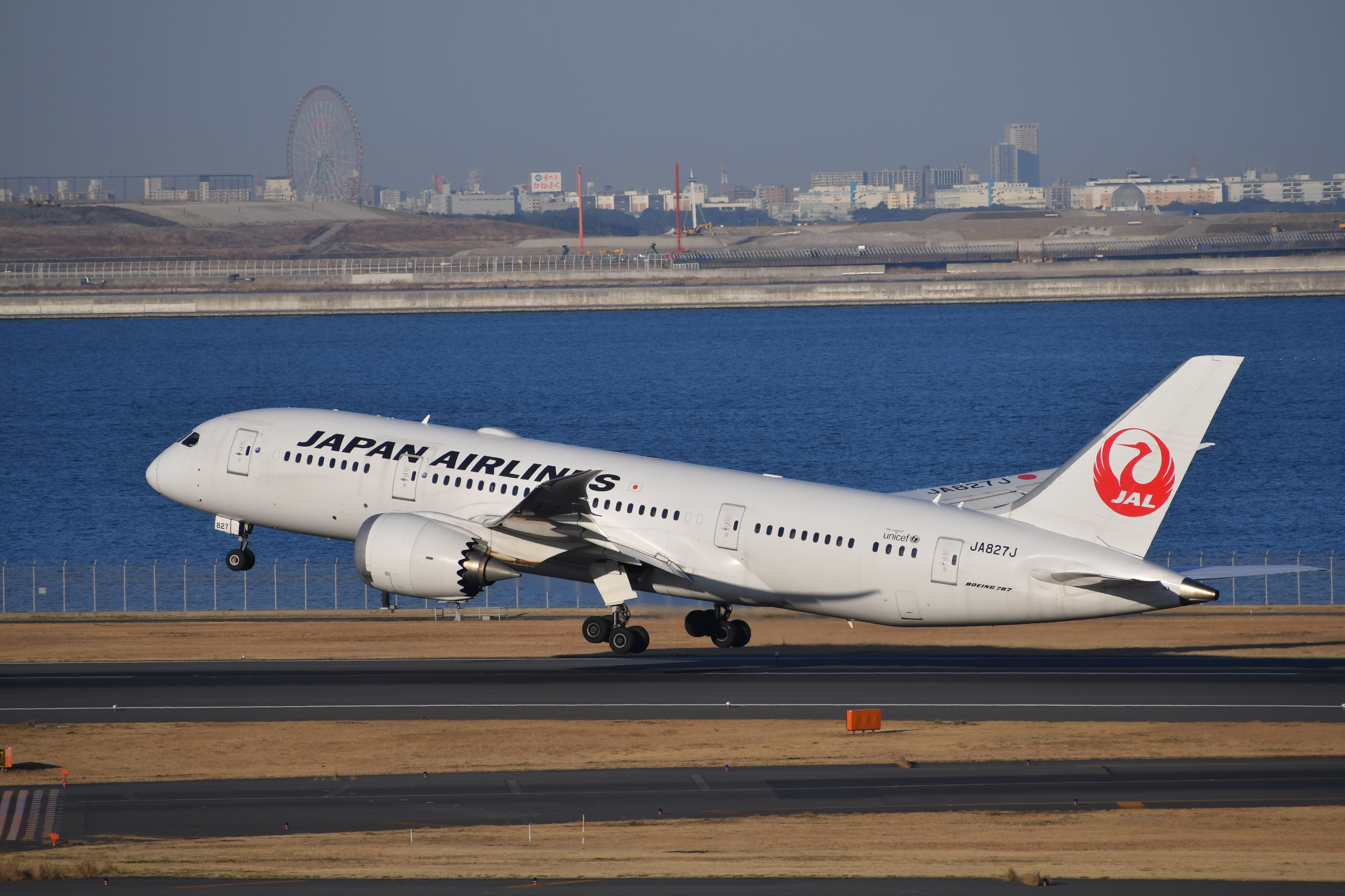 D500 / 1/2,500秒 / F7 / -0.3EV / ISO250 / マニュアル露出 / 270mm