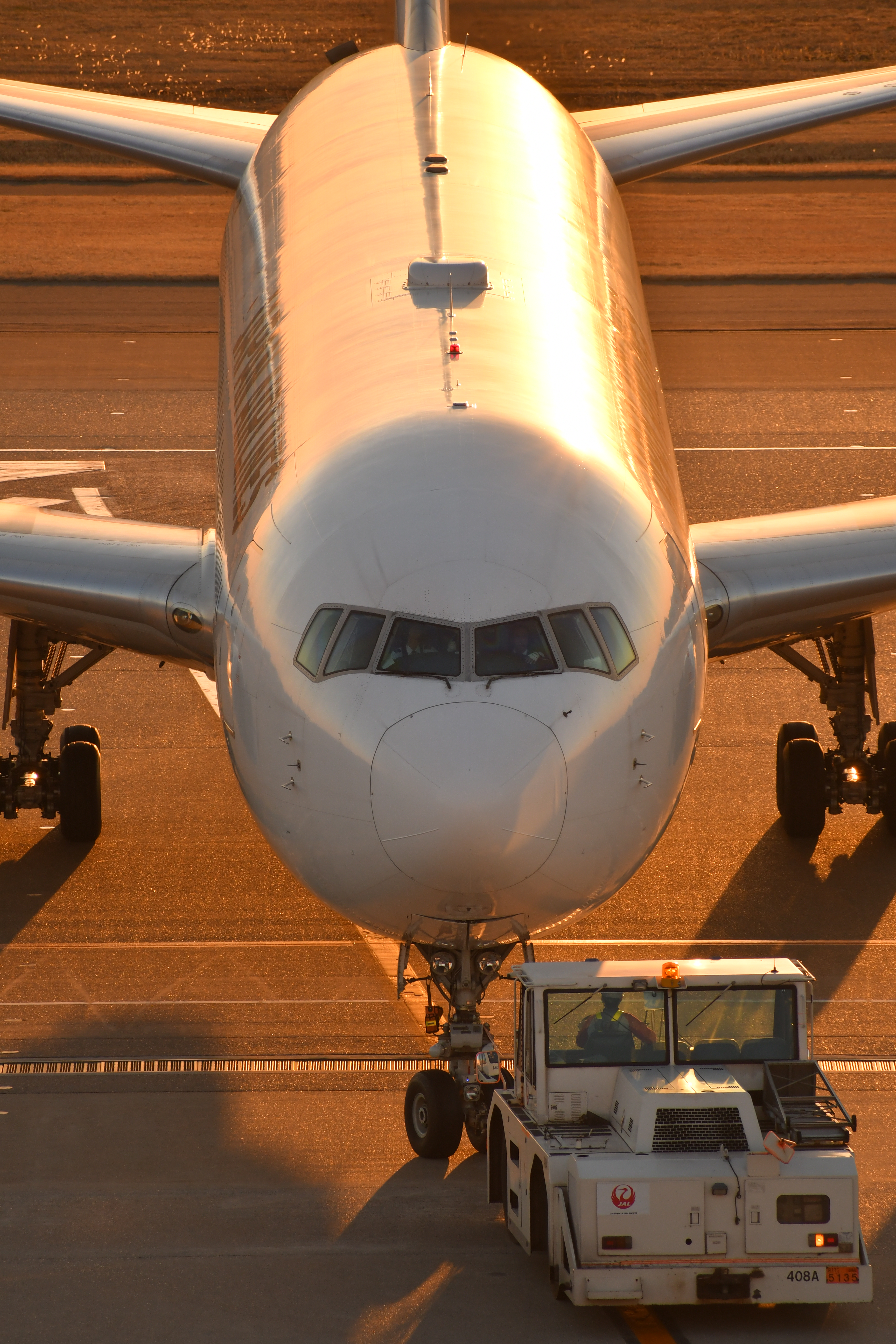 D500 / 1/500秒 / F8 / 0EV / ISO280 / 絞り優先AE / 300mm