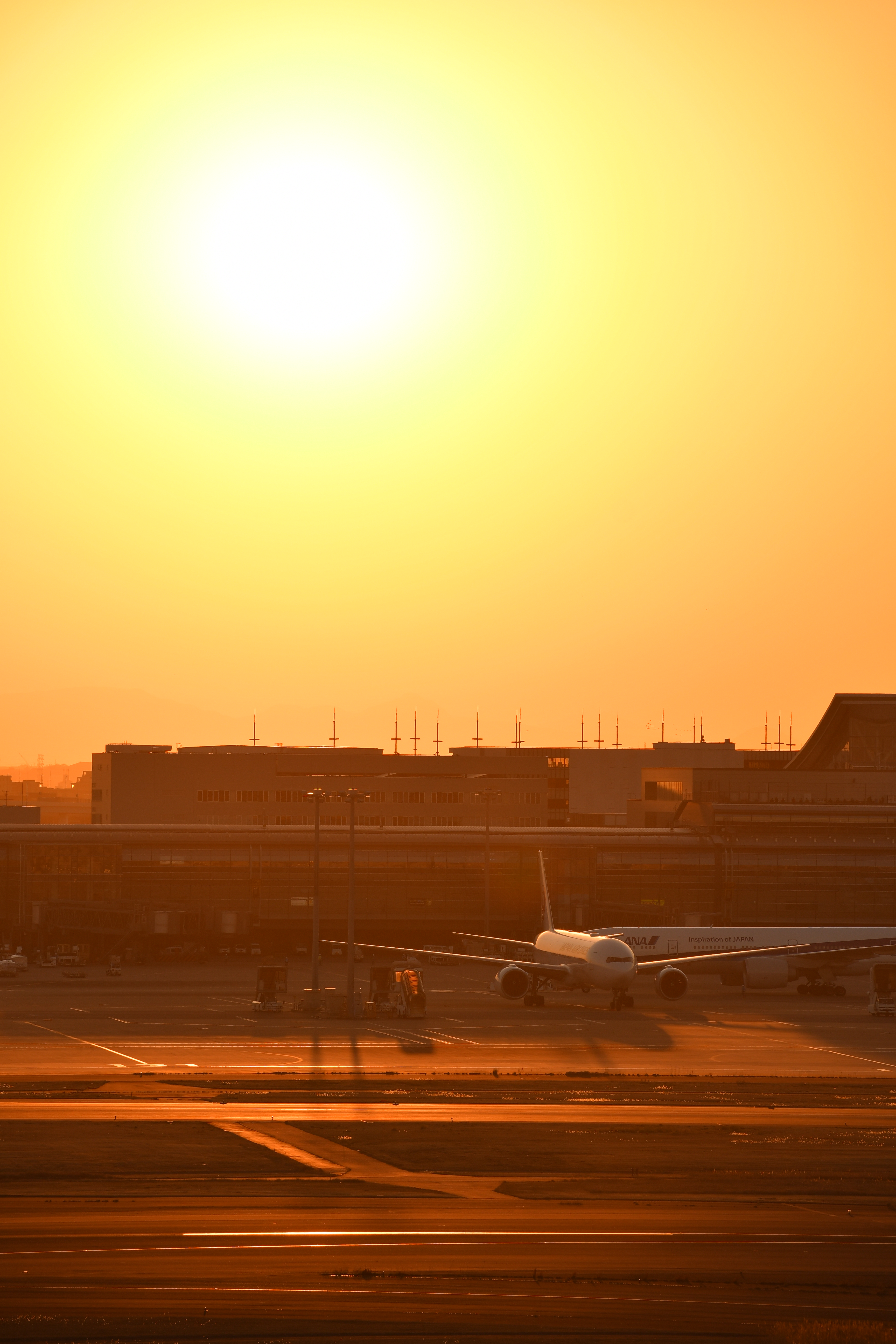 D500 / 1/1,000秒 / F6.3 / +0.7EV / ISO100 / 絞り優先AE / 145mm