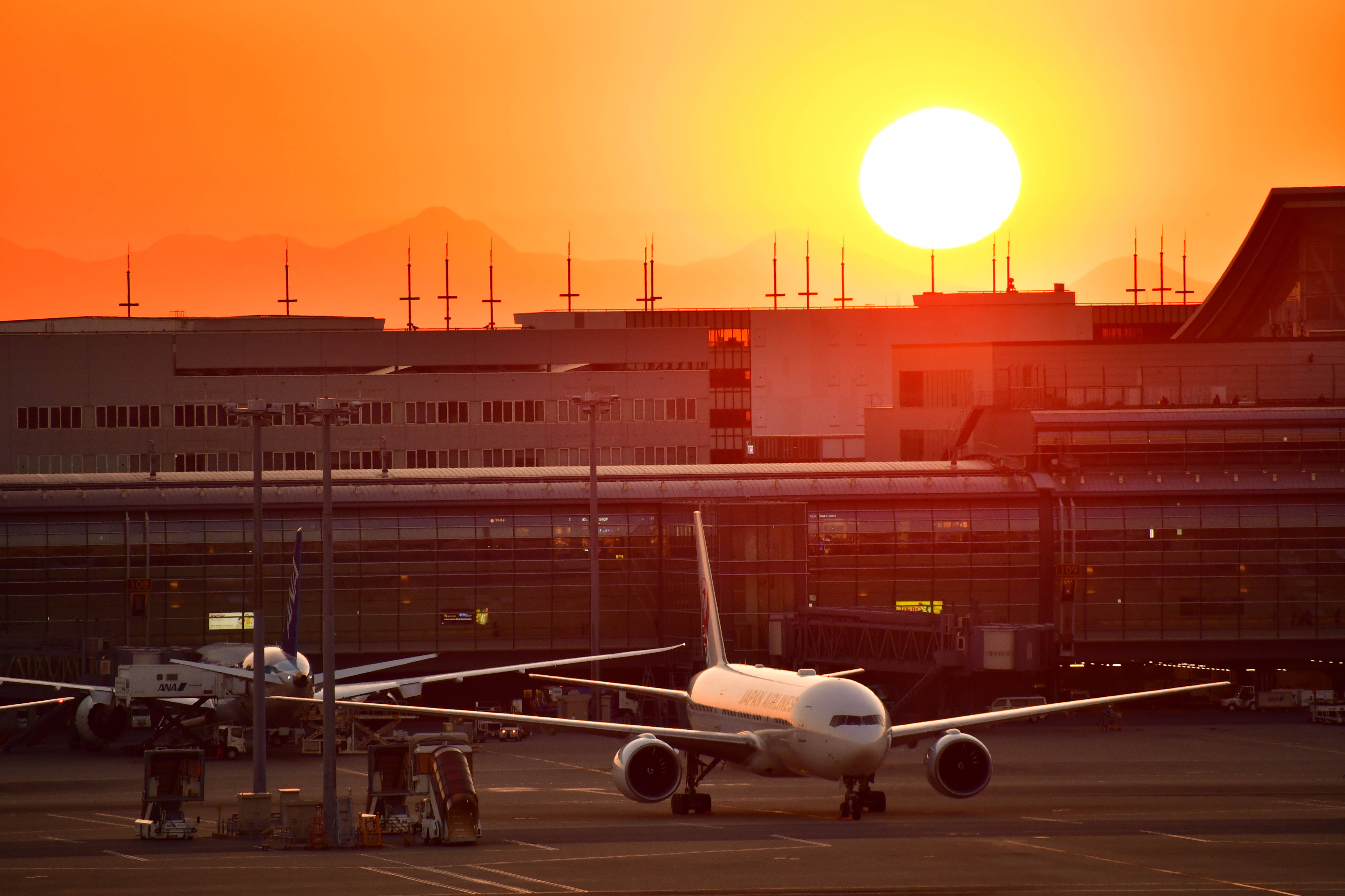 D500 / 1/400秒 / F6.3 / +3.3EV / ISO360 / シャッター優先AE / 300mm