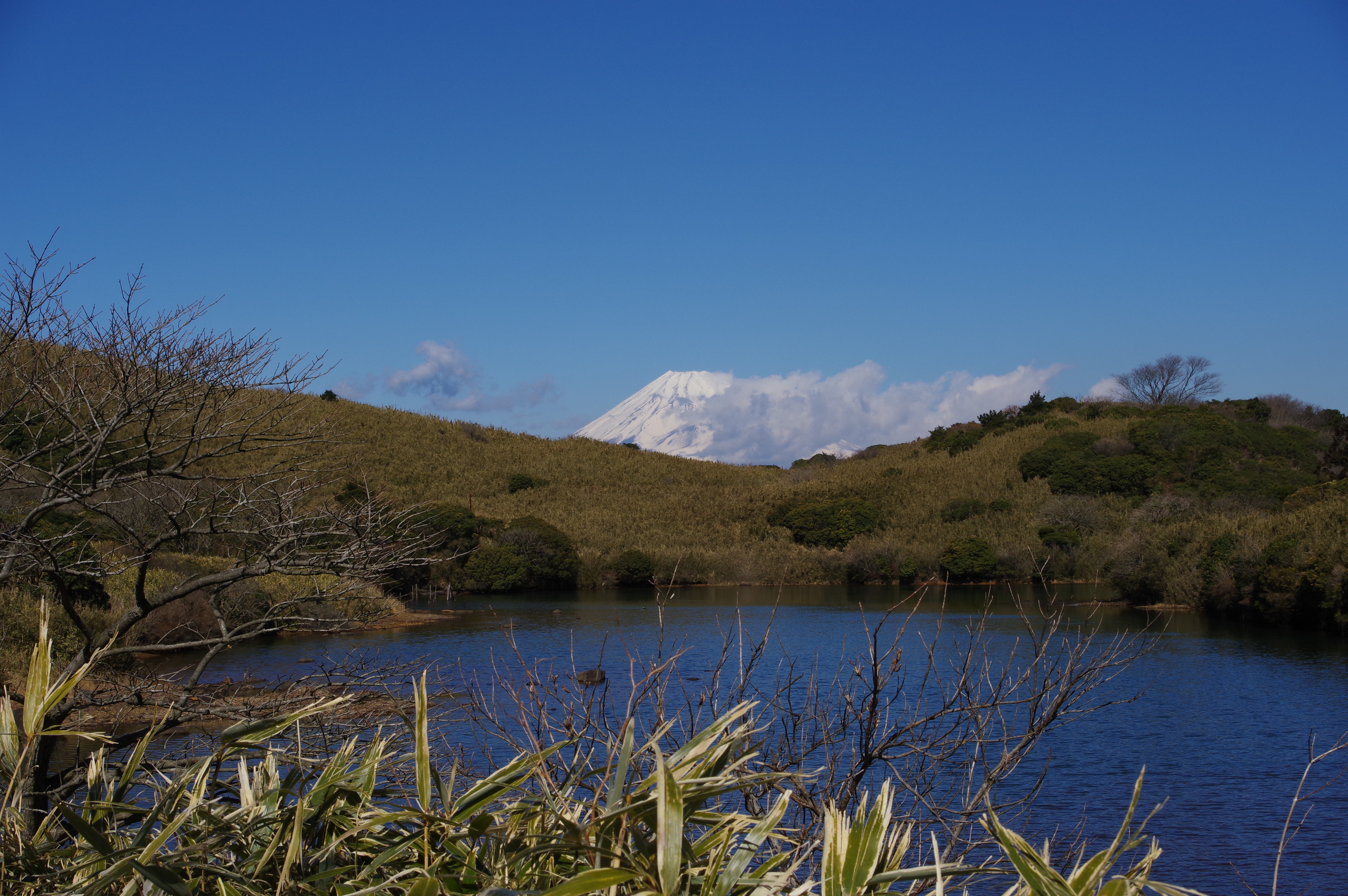 HD PENTAX-DA 20-40mmF2.8-4ED Limited DC WR / 1/250秒 / F18 / ISO200 / シーンアナライズオート / +0.7EV / 60mm