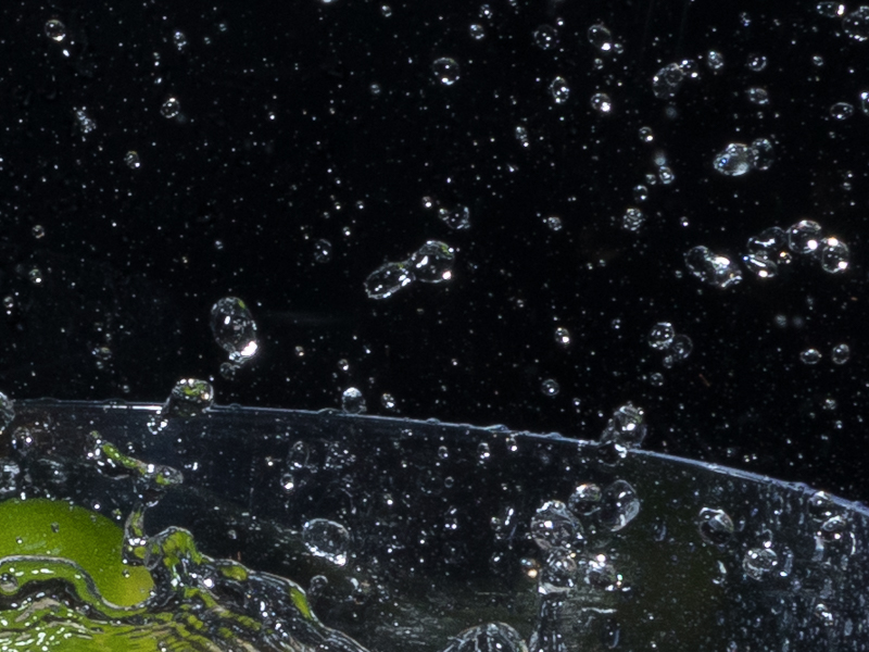 上の写真の一部を拡大したもの