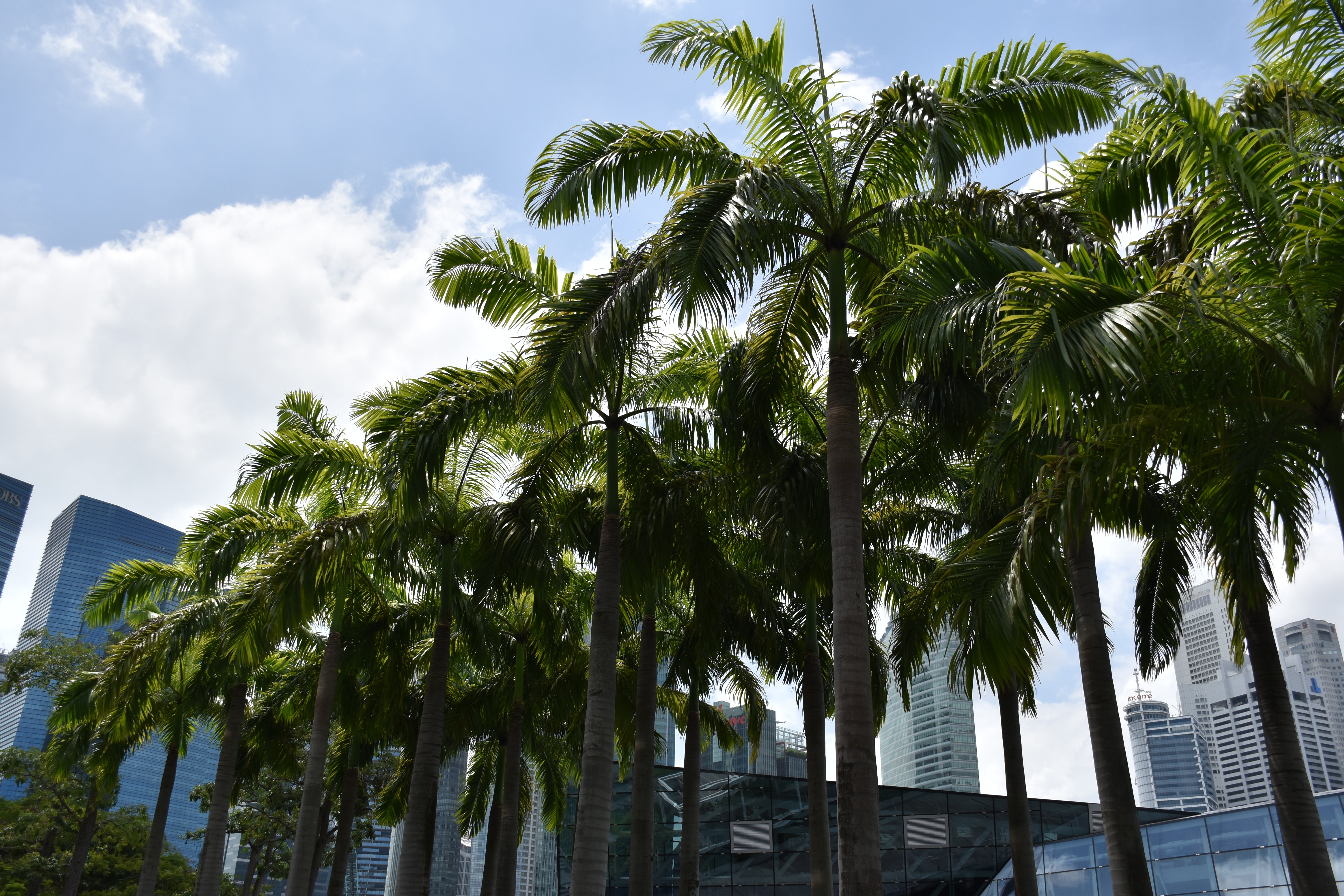 AF-S DX NIKKOR 18-140mm f/3.5-5.6G ED VR / 1/1,000秒 / F5.6 / -0.3EV / ISO100 / 絞り優先AE / 20mm / アクティブD-ライティング：デフォルト