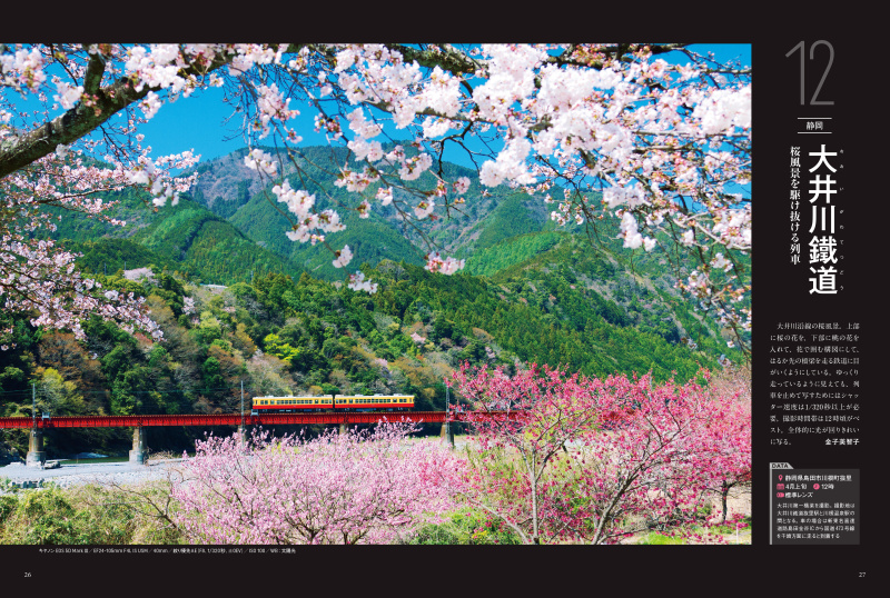 まさに春！という桜の景色。400シーン全てに撮影地、時期、時間帯、推奨レンズを記載