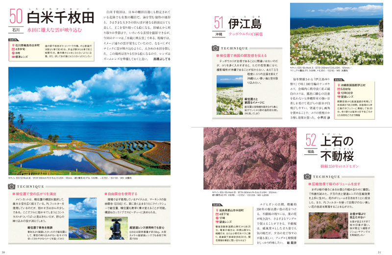 春の一例。定番の桜以外にも様々な被写体がある