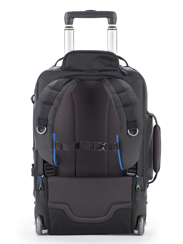 背面には丈夫なバックパックストラップ