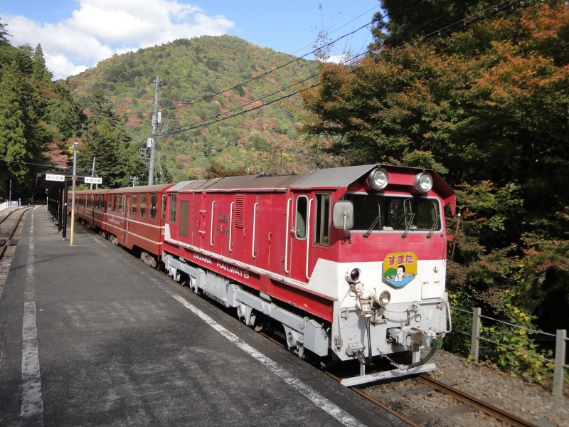 井川線のDD20（標準色）