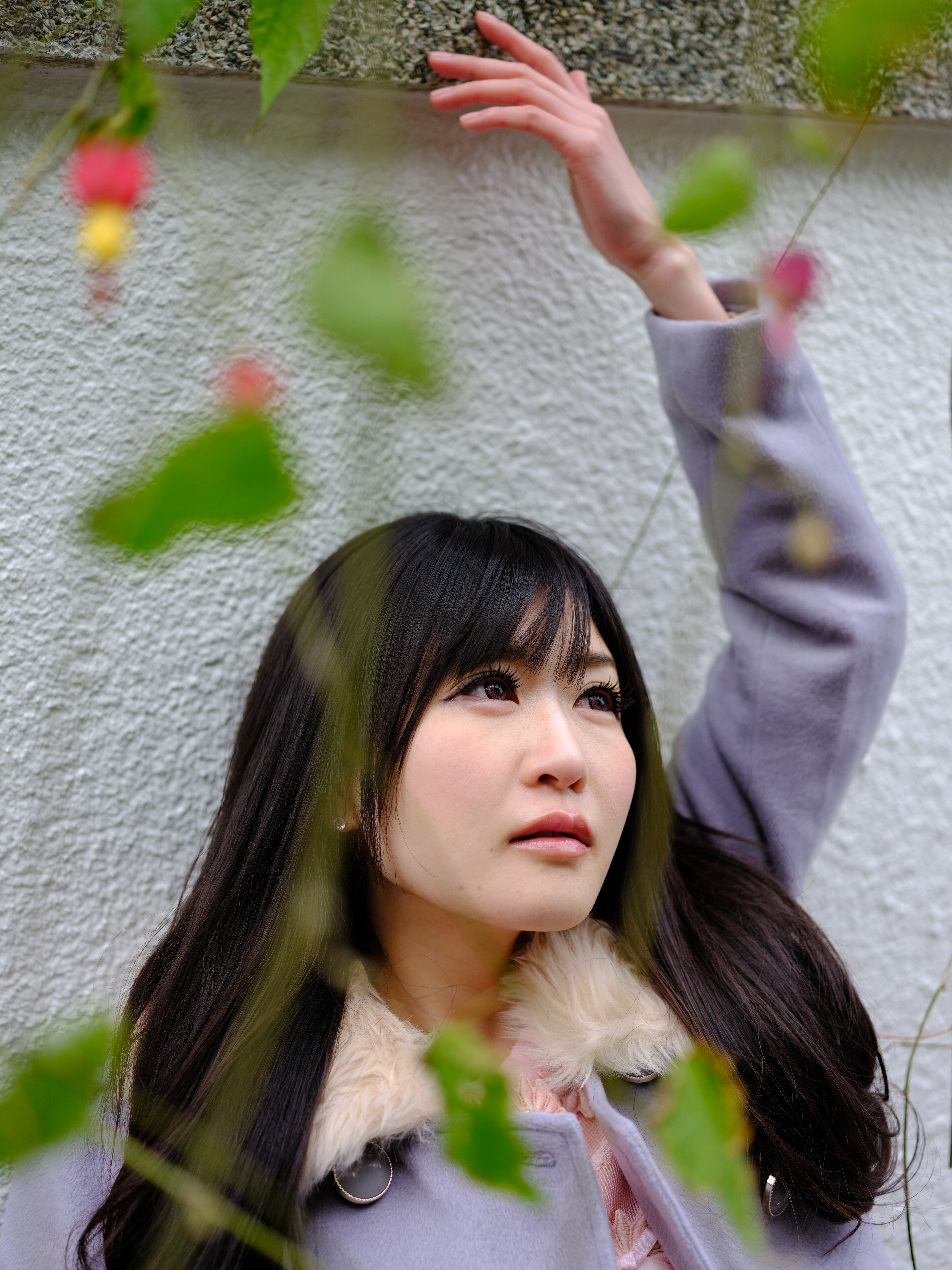 GFX 50S / GF63mmF2.8 R WR / 絞り優先AE / F2.8 / 1/280秒 / +0.67EV / ISO200 / WB:シーン自動認識オート / フィルムシミュレーション:Velvia