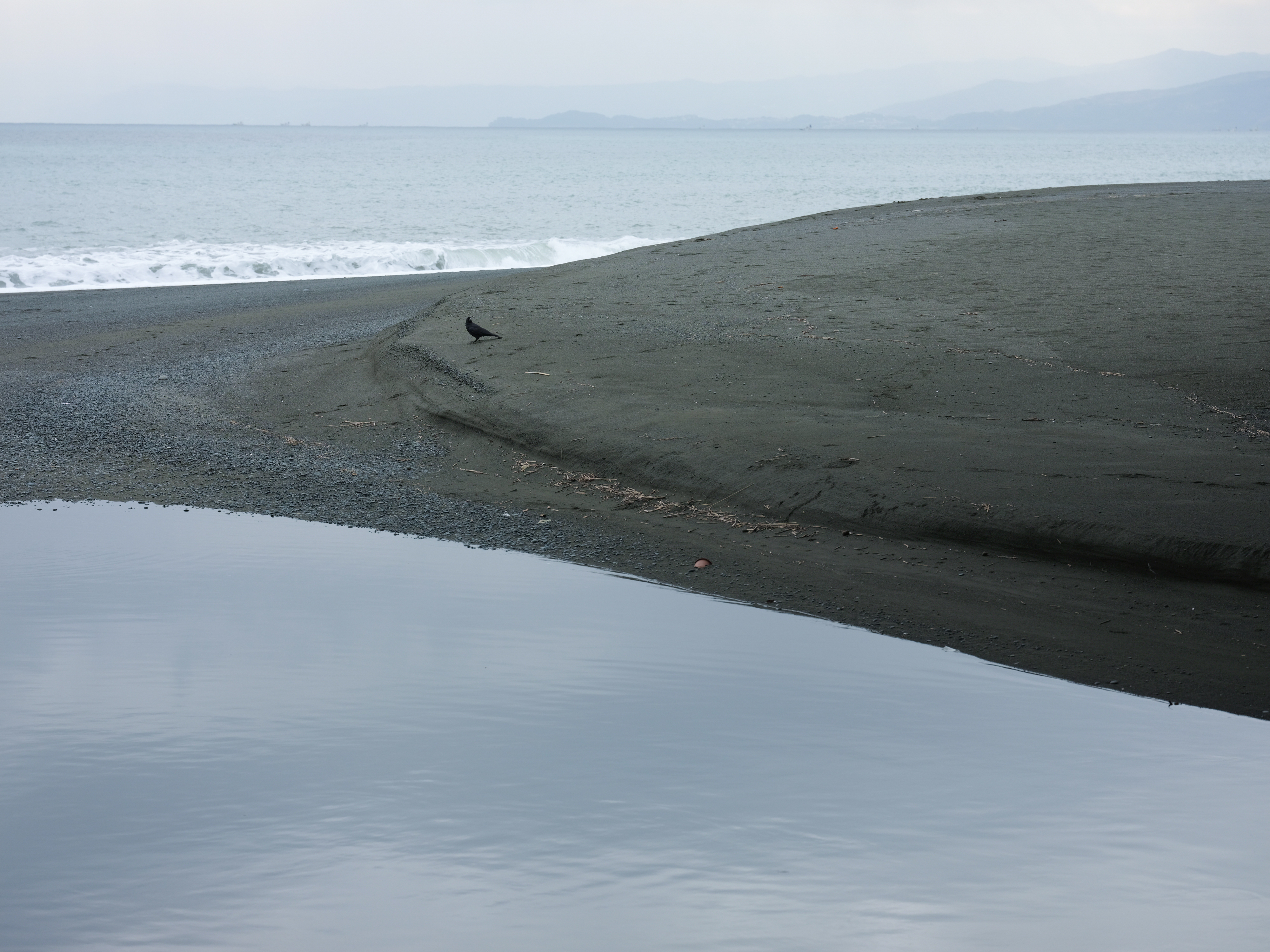GFX 50S / GF120mmF4 R LM OIS WR Macro / F5.6 / 1/680秒 / ISO400 / WB:シーン自動認識オート / フィルムシミュレーション:Velvia
