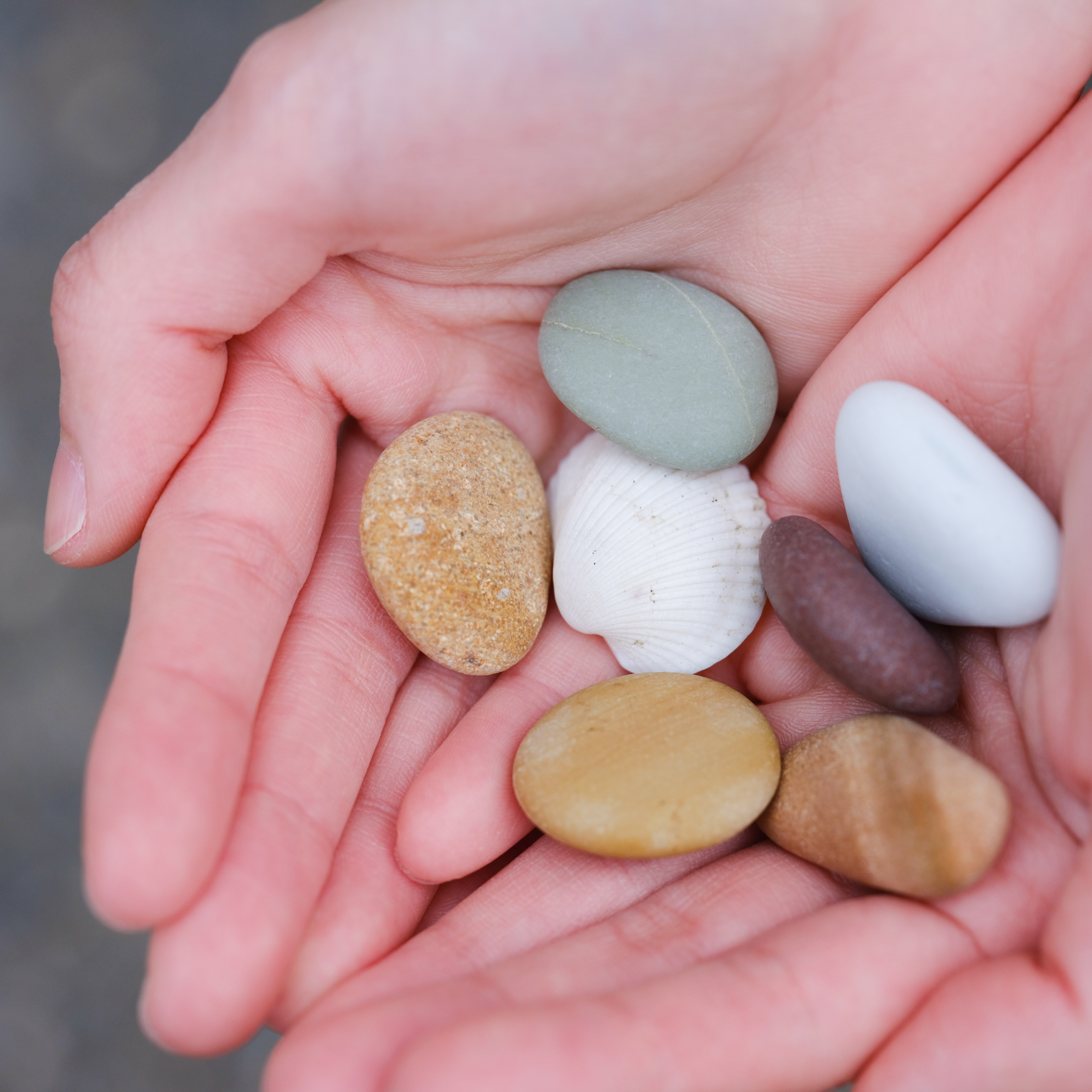 GFX 50S / GF120mmF4 R LM OIS WR Macro / F5.6 / 1/420秒 / +0.33EV / ISO800 / WB:シーン自動認識オート / フィルムシミュレーション:Velvia