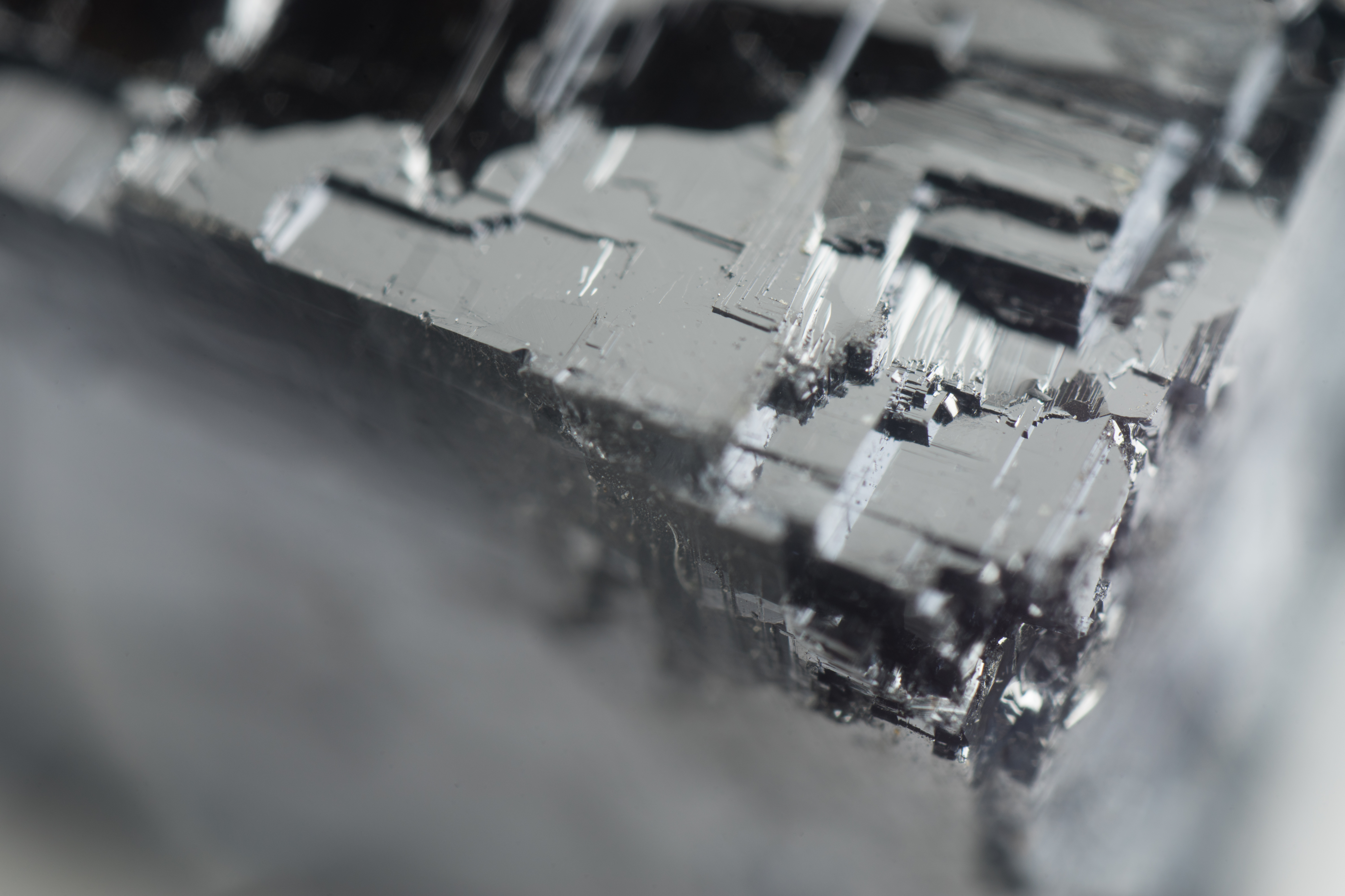 α7 II / Freewalker 20mm F2 4.5X Super Macro Lens / 1/60秒 / F5.6 / ±0EV / ISO100 / WB:カスタム / 20mm