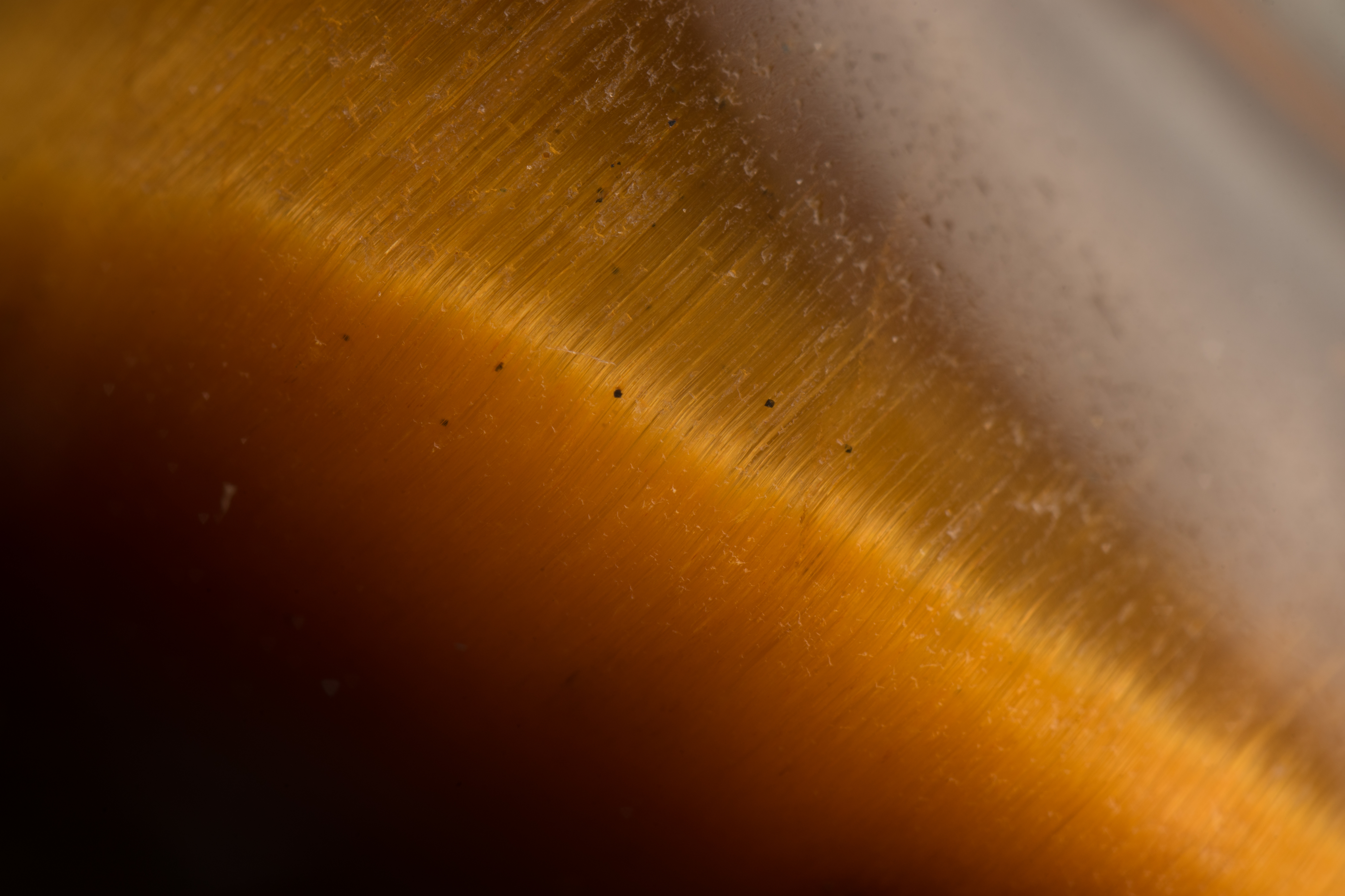 α7 II / Freewalker 20mm F2 4.5X Super Macro Lens / 1/60秒 / F5.6 / ±0EV / ISO100 / WB:カスタム / 20mm