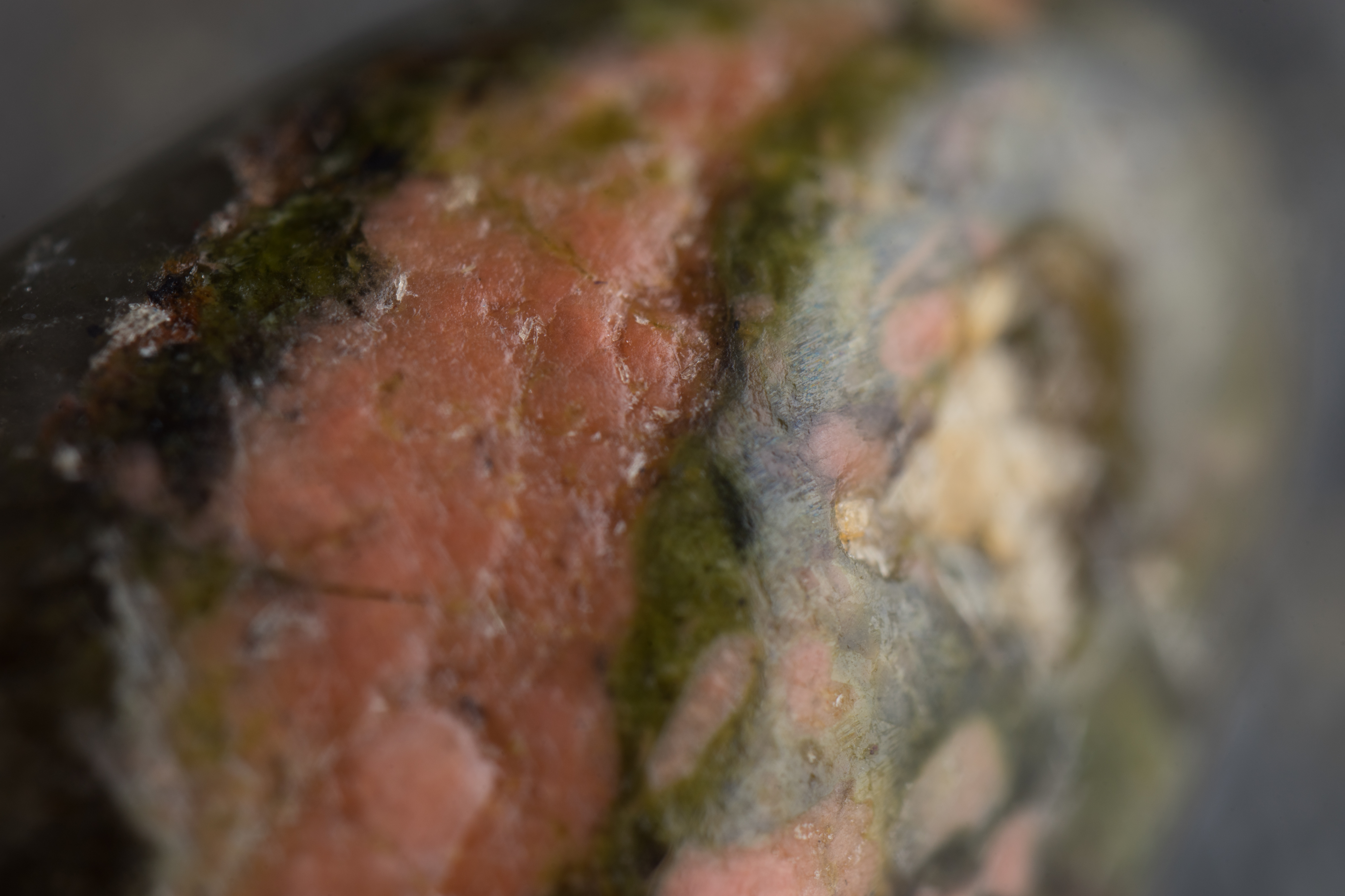 α7 II / Freewalker 20mm F2 4.5X Super Macro Lens / 1/60秒 / F5.6 / ±0EV / ISO100 / WB:カスタム / 20mm