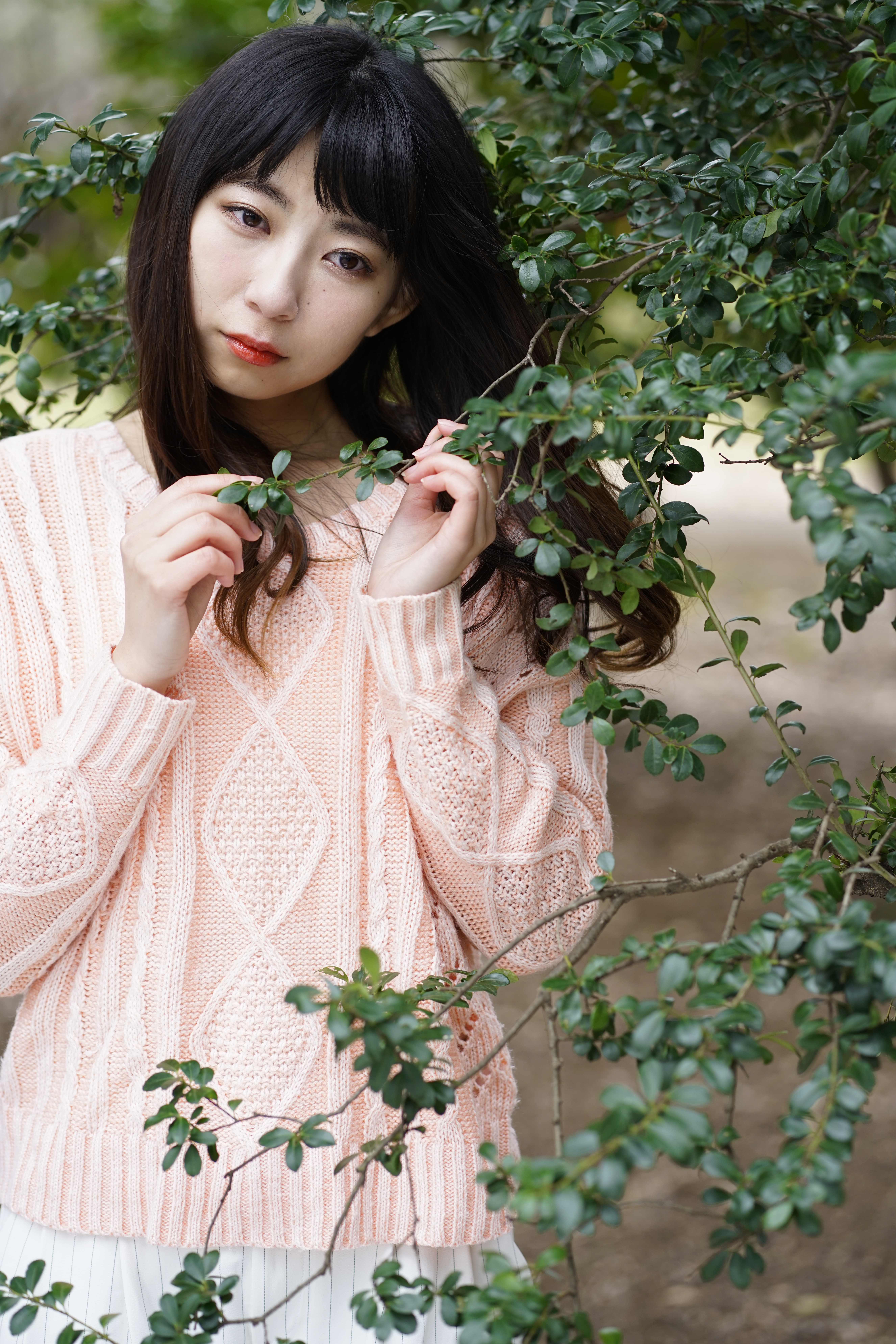 α7R II / 1/250秒 / F3.2 / +0.7EV / ISO320 / 絞り優先AE / 85mm