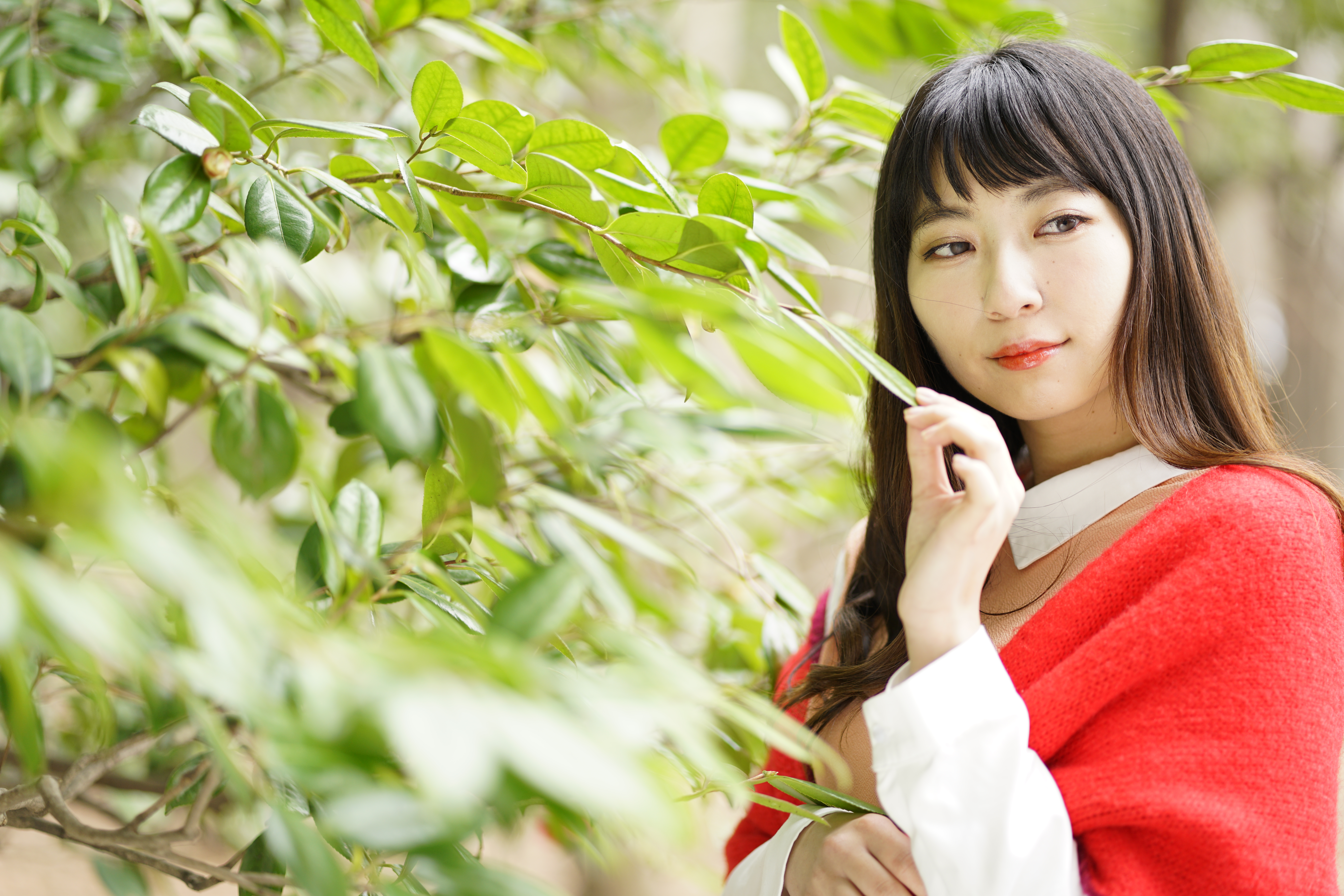 α7R II / 1/200秒 / F1.8 / +1EV / ISO200 / 絞り優先AE / 85mm