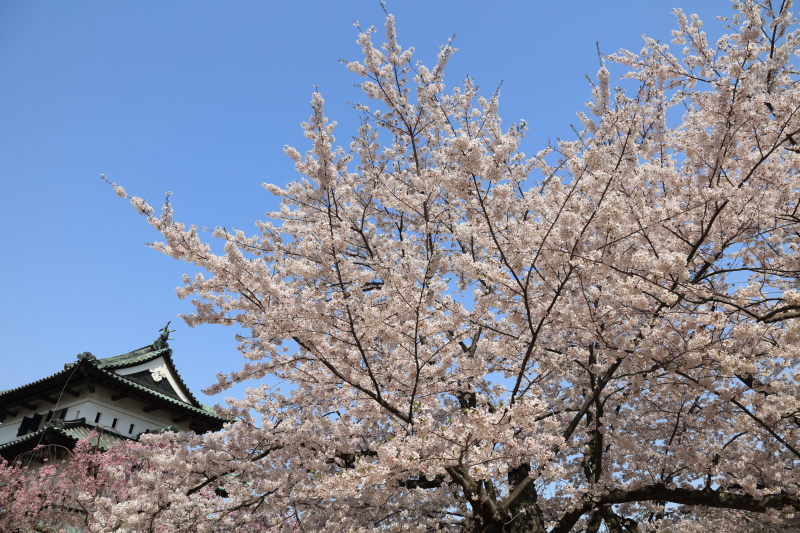 PLフィルター非装着：EOS 5Ds R / EF 24-105mm F3.5-5.6 IS STM / 1/200秒 / F9 / +0.7EV / ISO200 / 絞り優先AE / 24mm