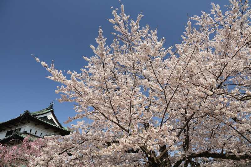 PLフィルター装着：EOS 5Ds R / EF 24-105mm F3.5-5.6 IS STM / 1/200秒 / F9 / +0.7EV / ISO200 / 絞り優先AE / 24mm