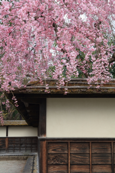 NDフィルター非装着：EOS 5Ds R / EF 24-105mm F3.5-5.6 IS STM / 1/4秒 / F14 / -0.7EV / ISO100 / 絞り優先AE / 85mm