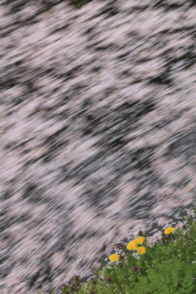 NDフィルター装着：EOS 5Ds R / EF 24-105mm F3.5-5.6 IS STM / 5秒 / F32 / 0EV / ISO100 / 絞り優先AE / 105mm